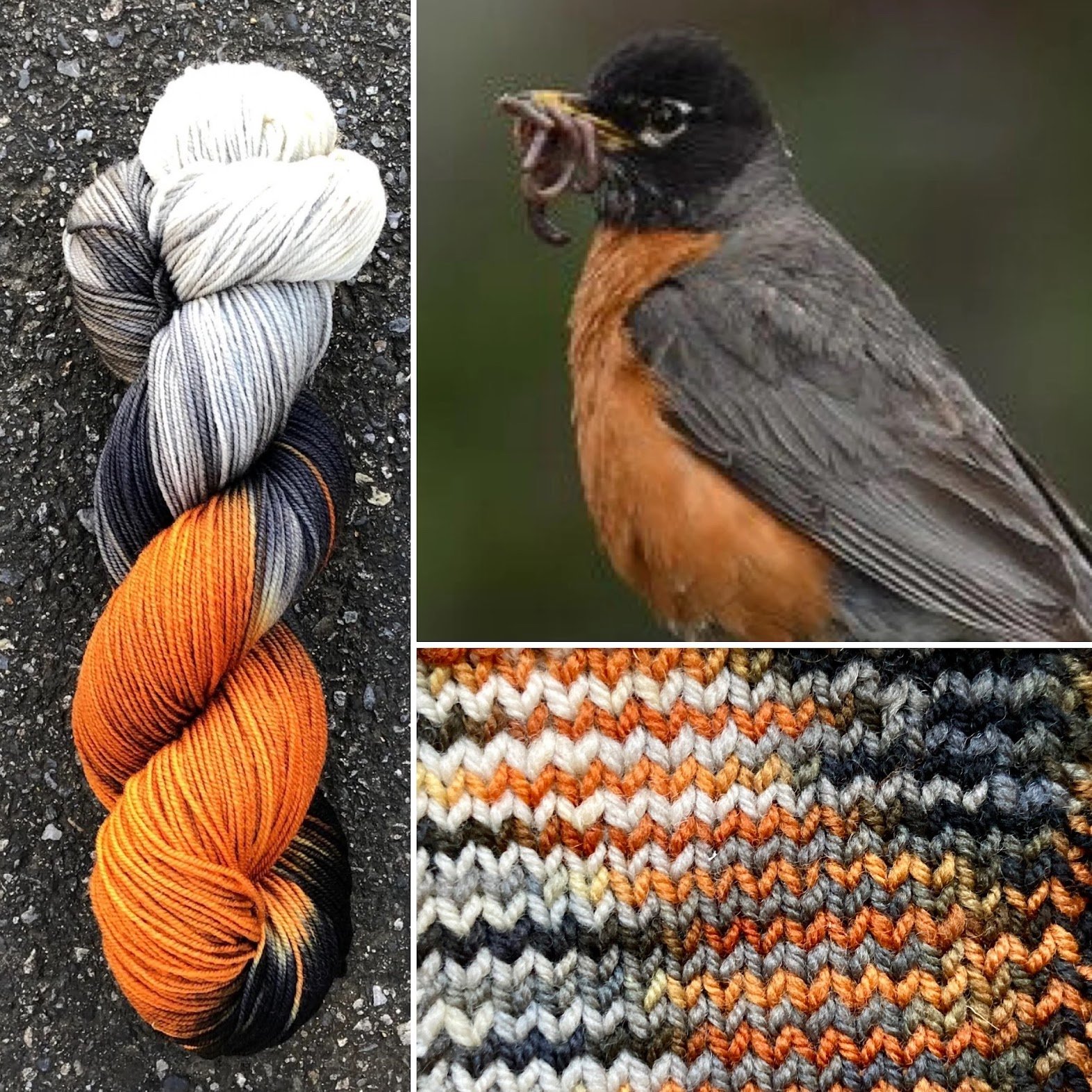 February’s Newsletter!