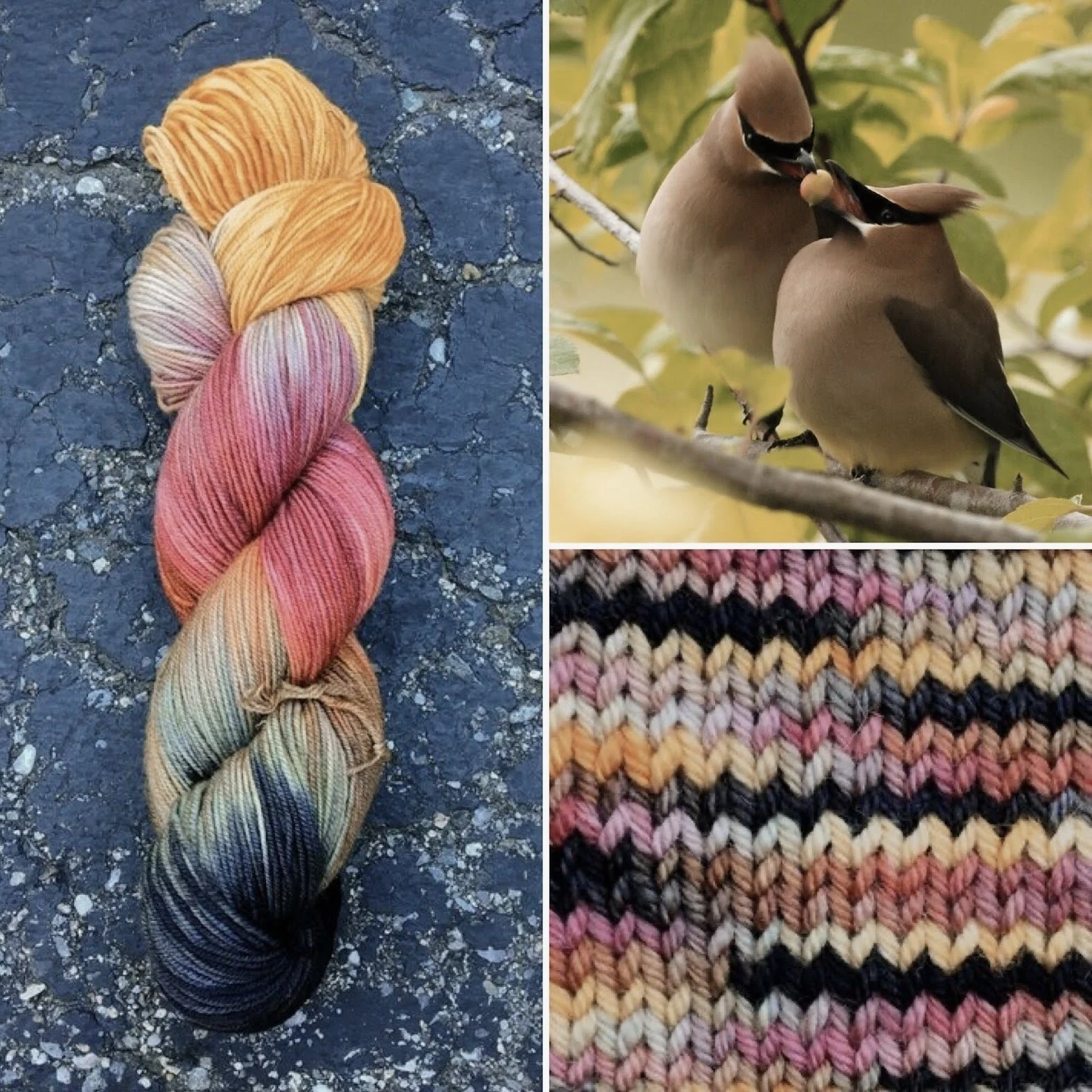 Cedar Waxwing