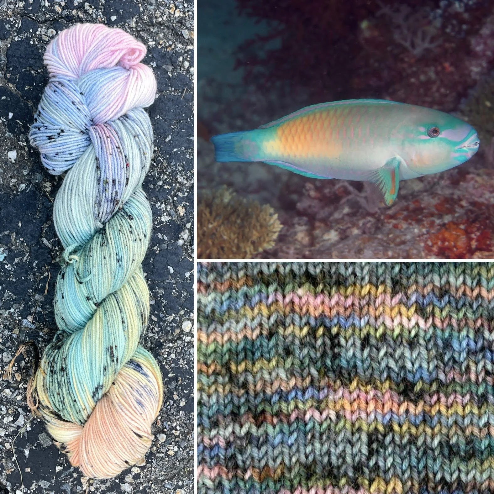 bleekers parrotfish collage swatch.jpg