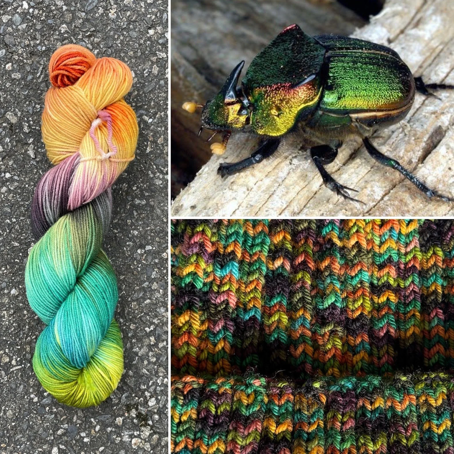 rainbow scarab collage swatch.jpg