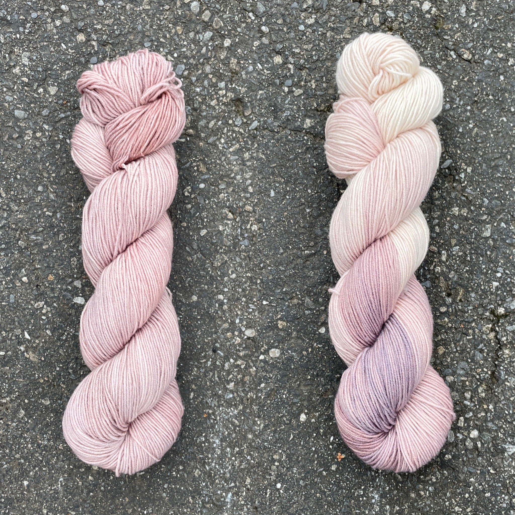 cactus pink collage.jpg