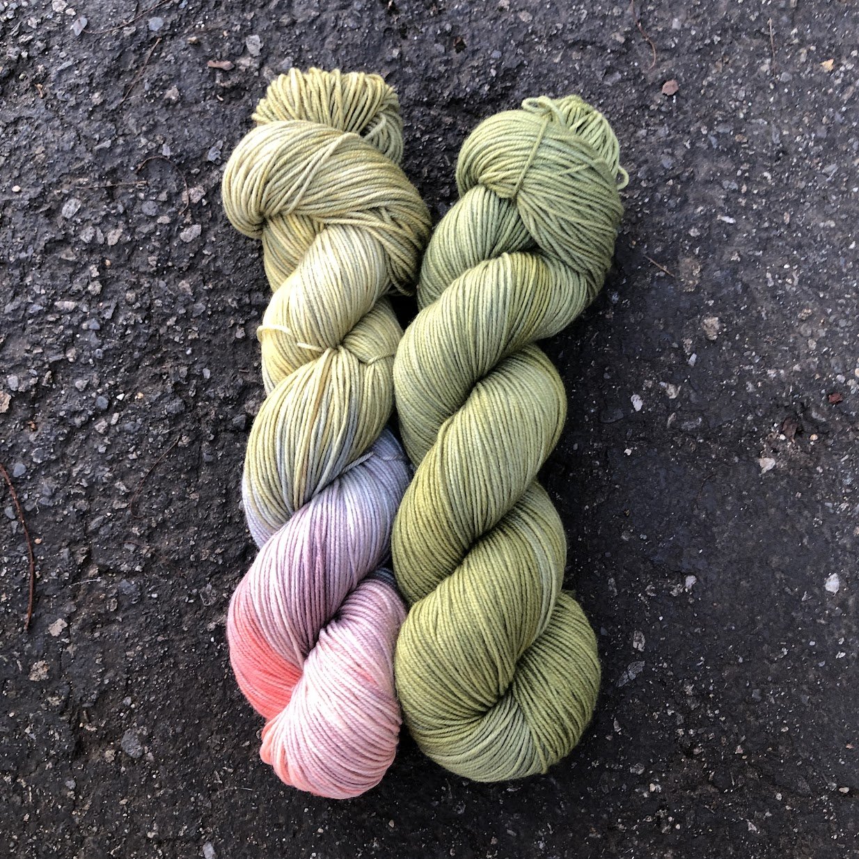 Differential Grasshopper and Swamp Green.jpg