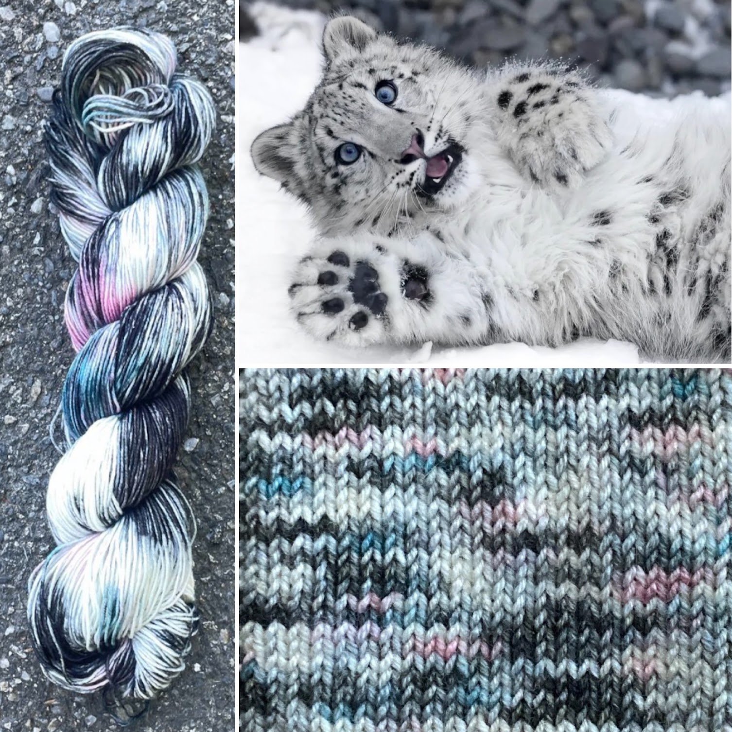 Snow Leopard