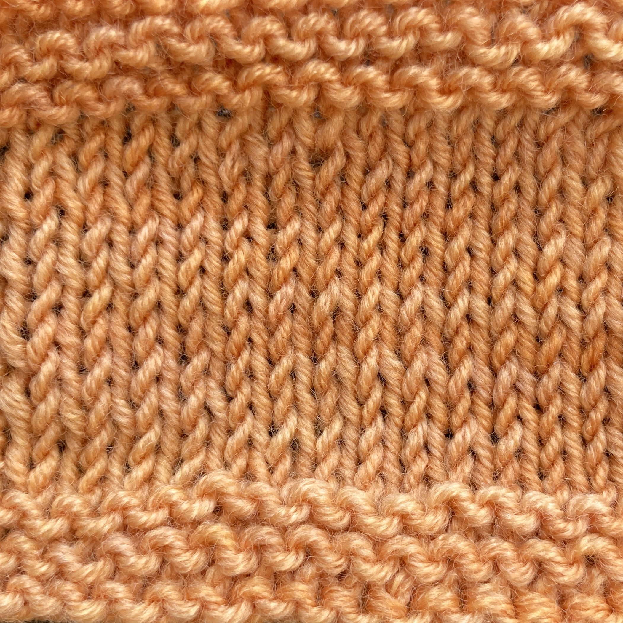 pumpkinseed orange swatch.jpg
