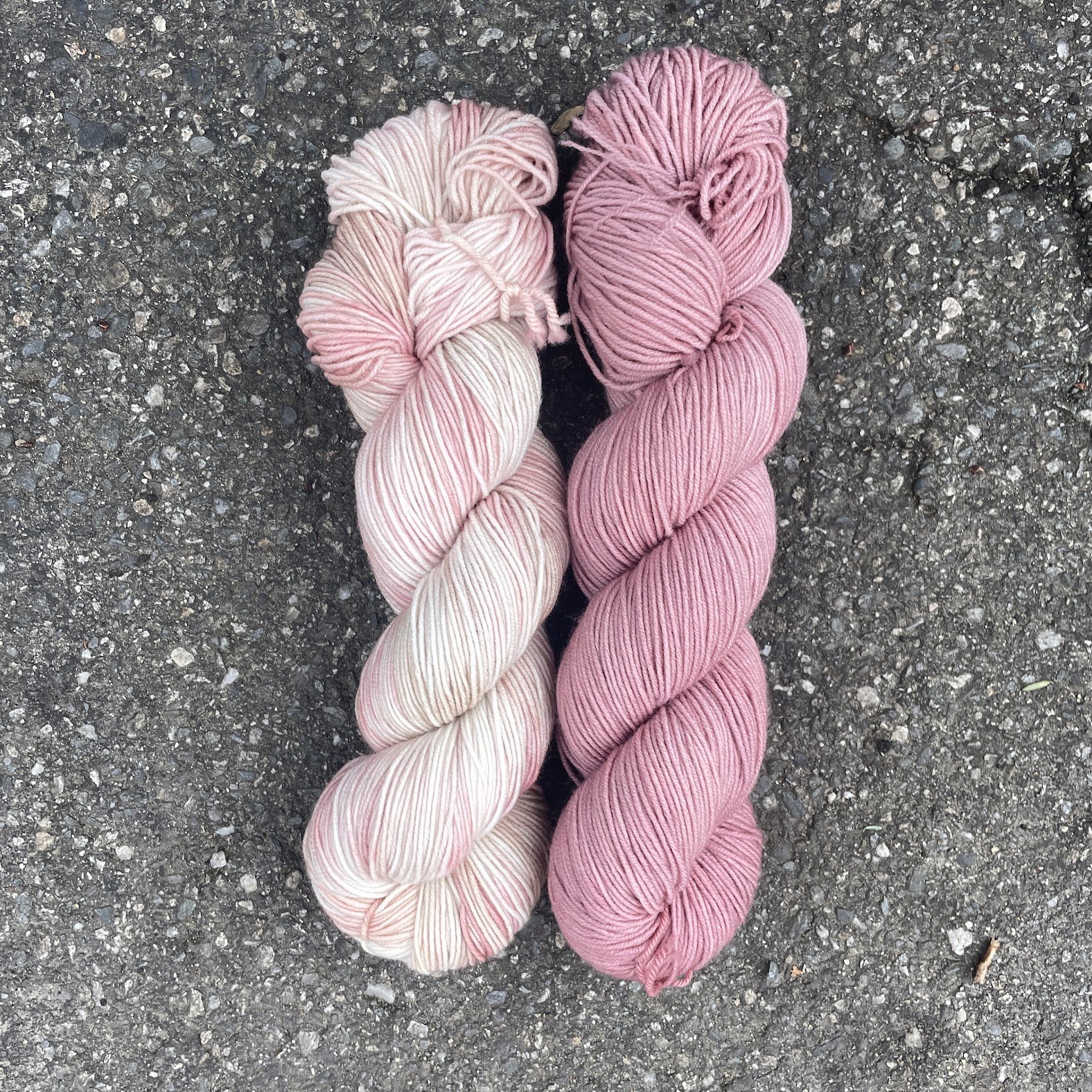 pink fairy armadillo EDIT.jpg