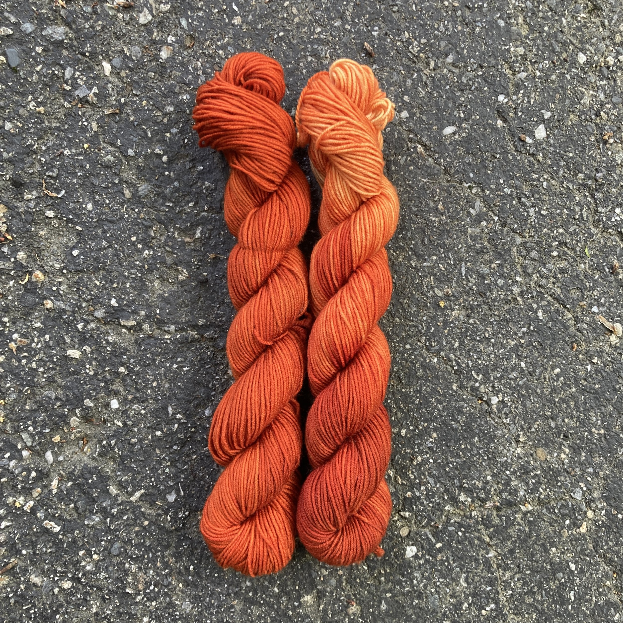 kestrel orange ss.jpg