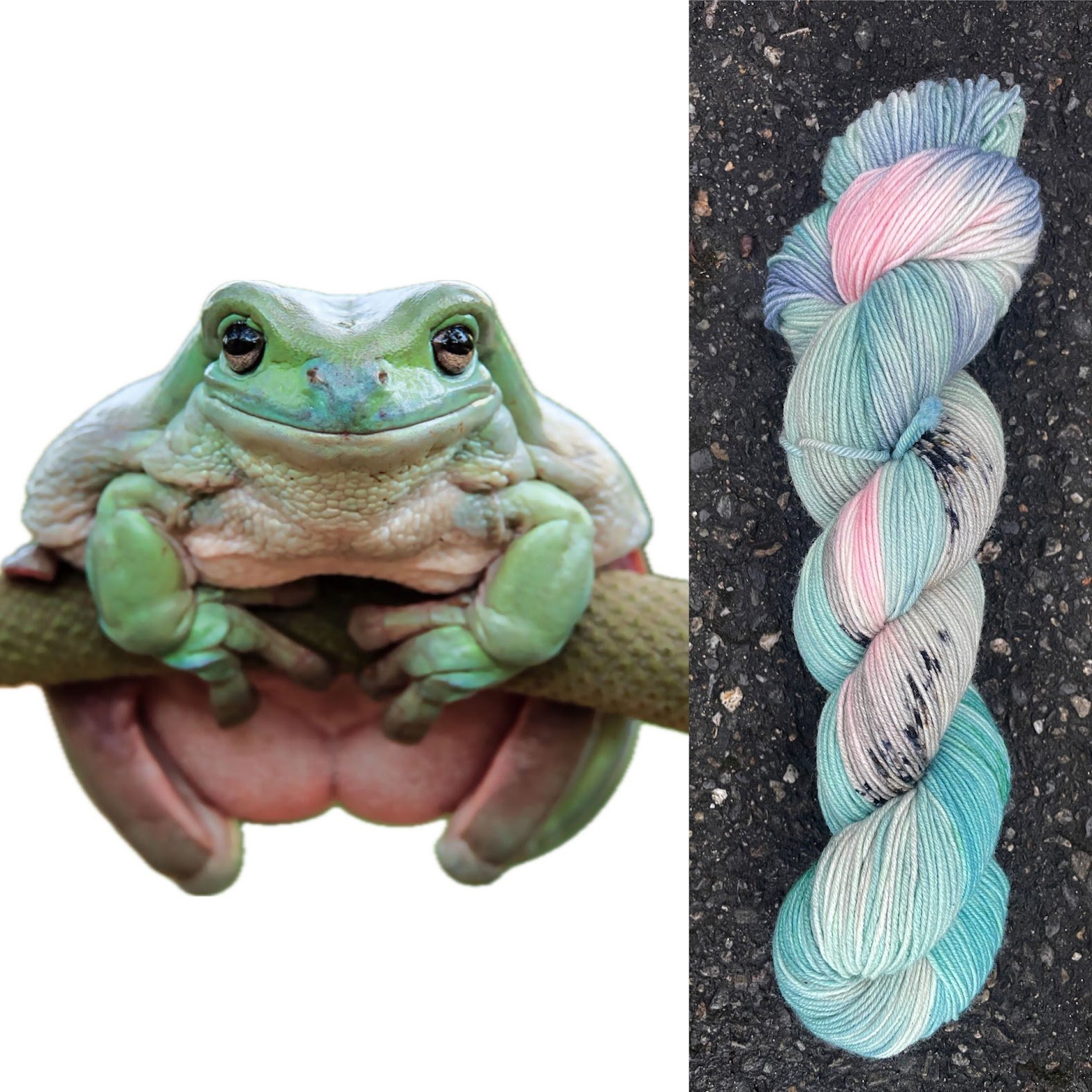 Dumpty Tree Frog collage.jpg