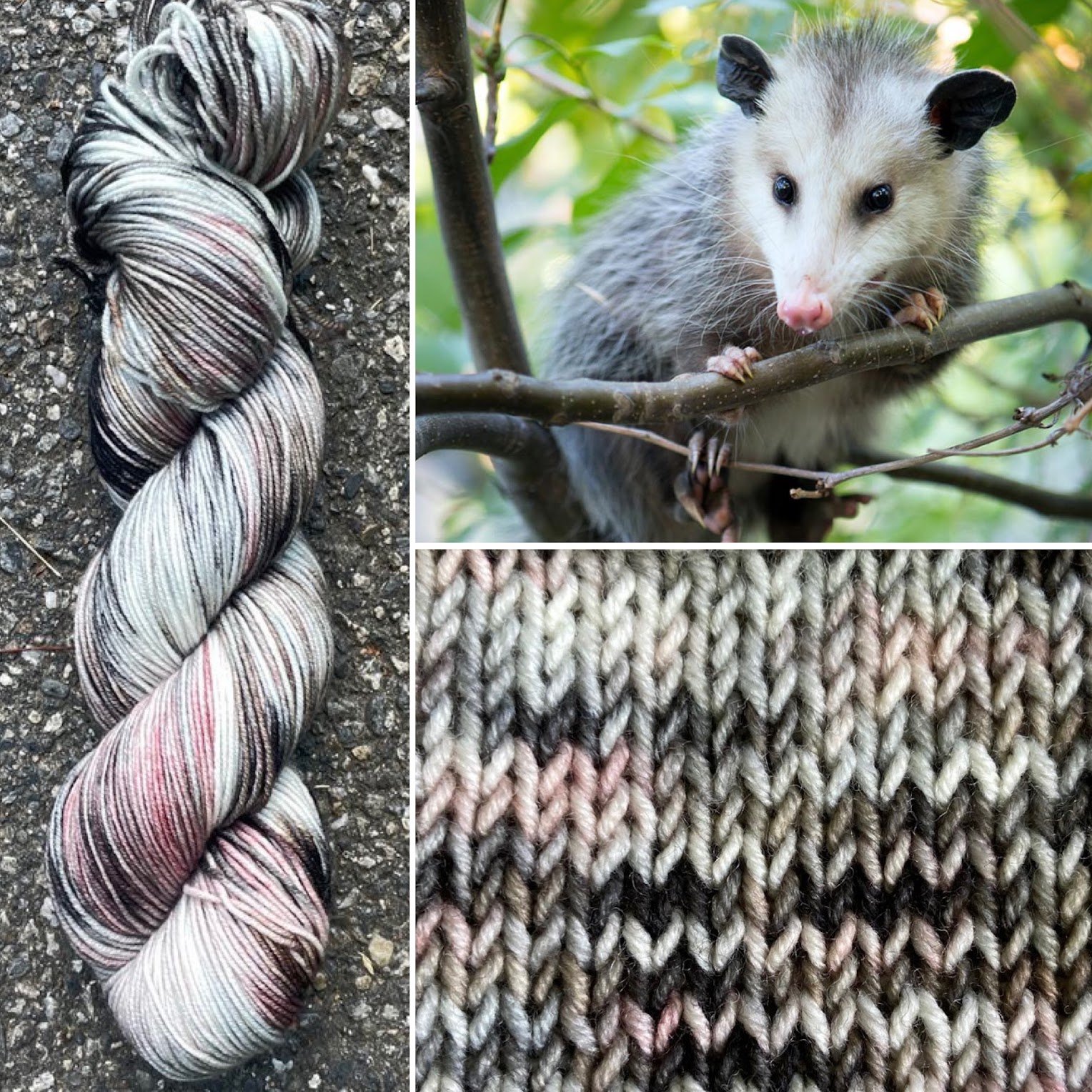 Opossum