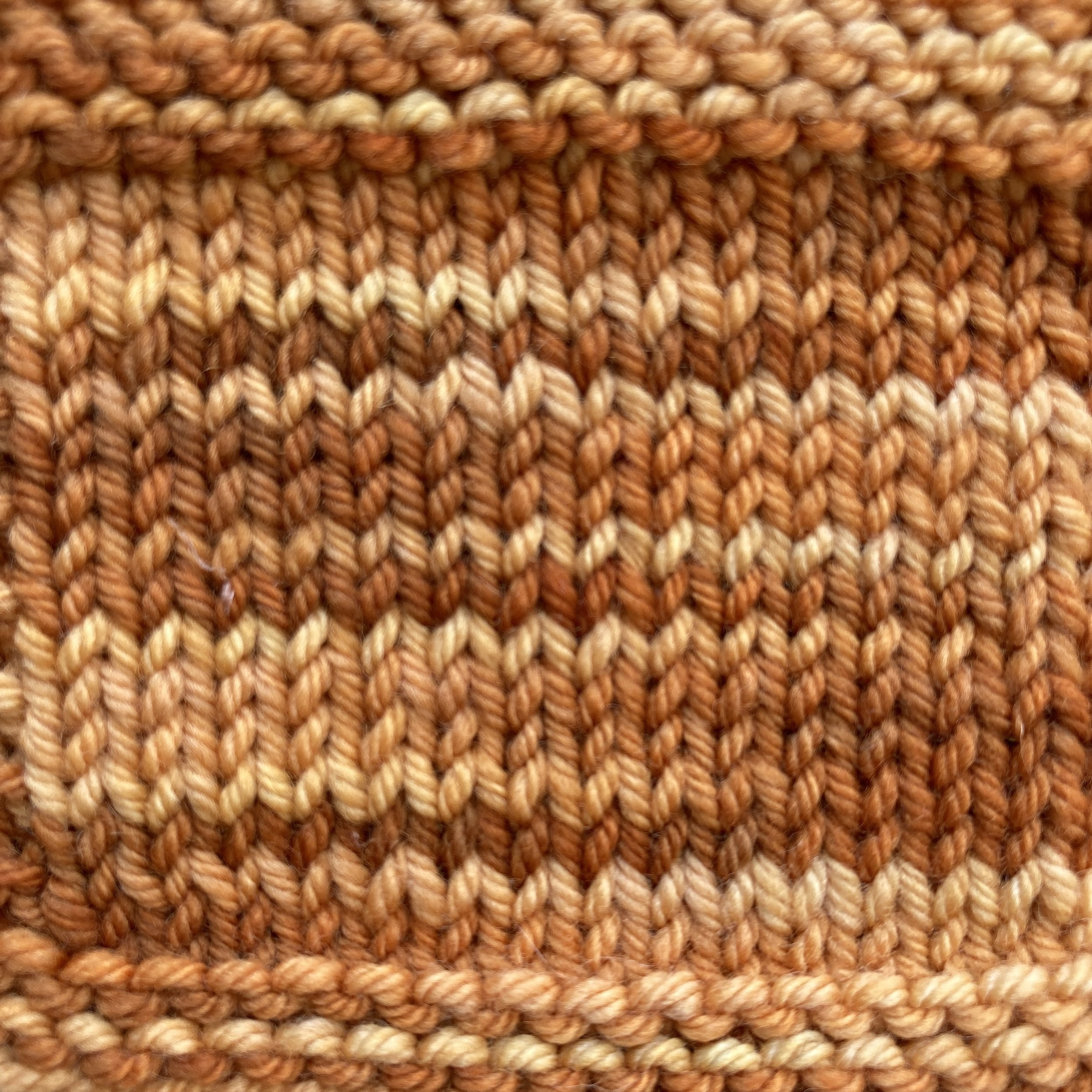 pumpkinseed orange tonal swatch.jpg