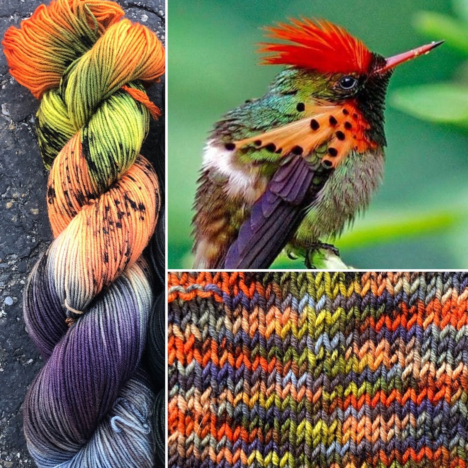Tufted Coquette and Coquette Green