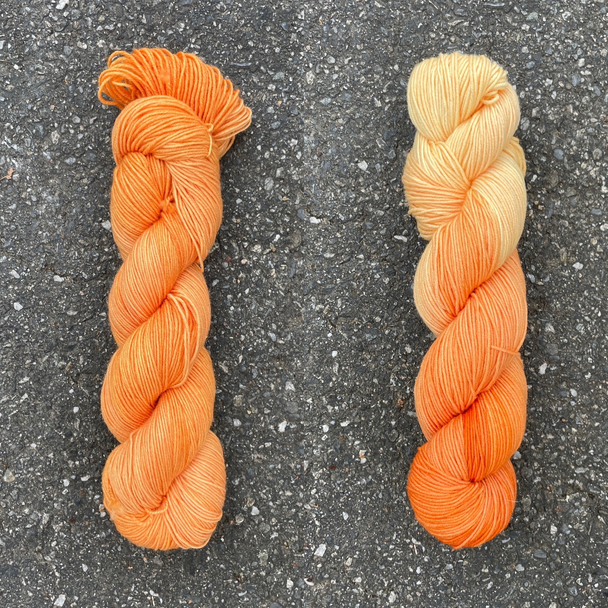 piping plover orange collage.jpg