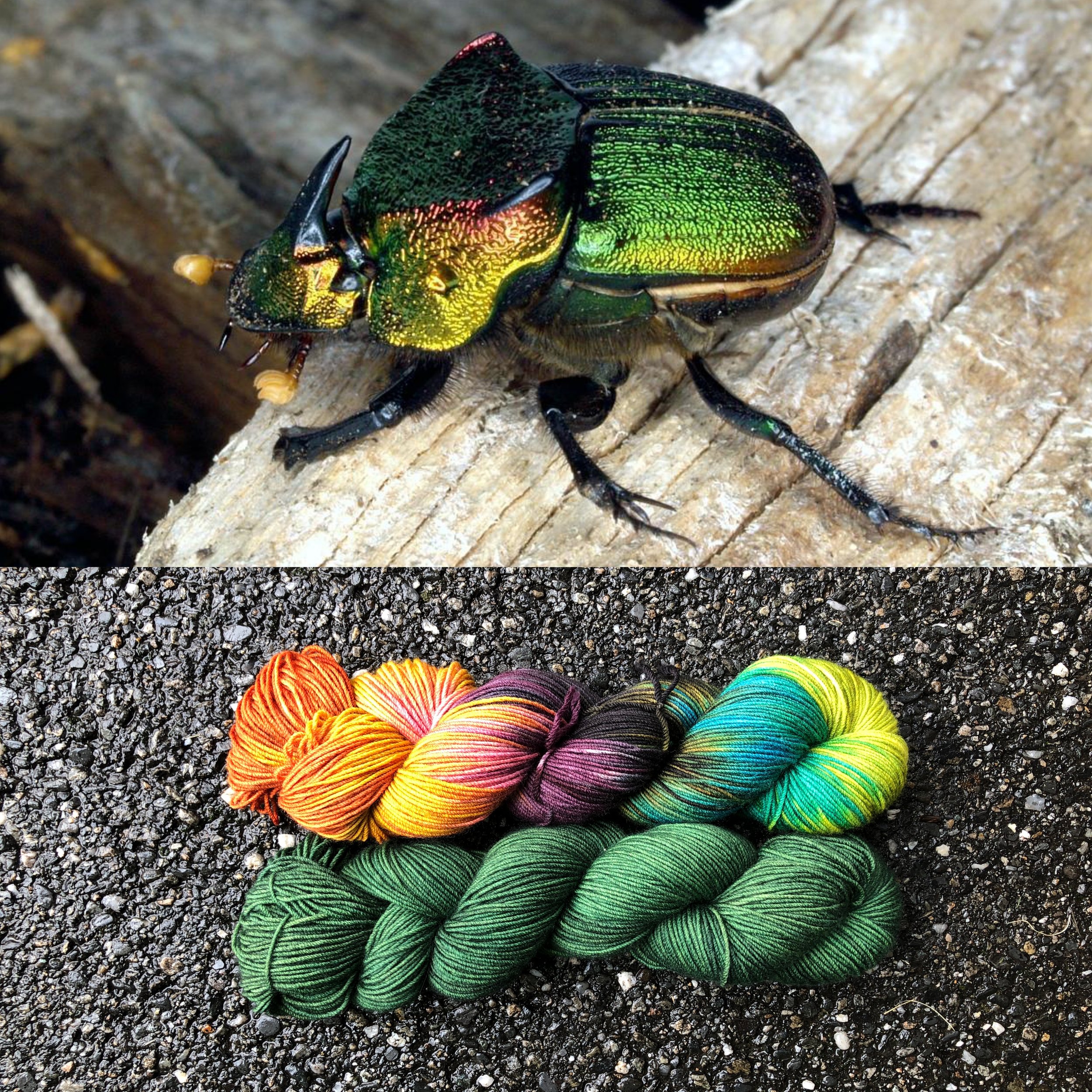 Rainbow Scarab and Scarab Green.jpg
