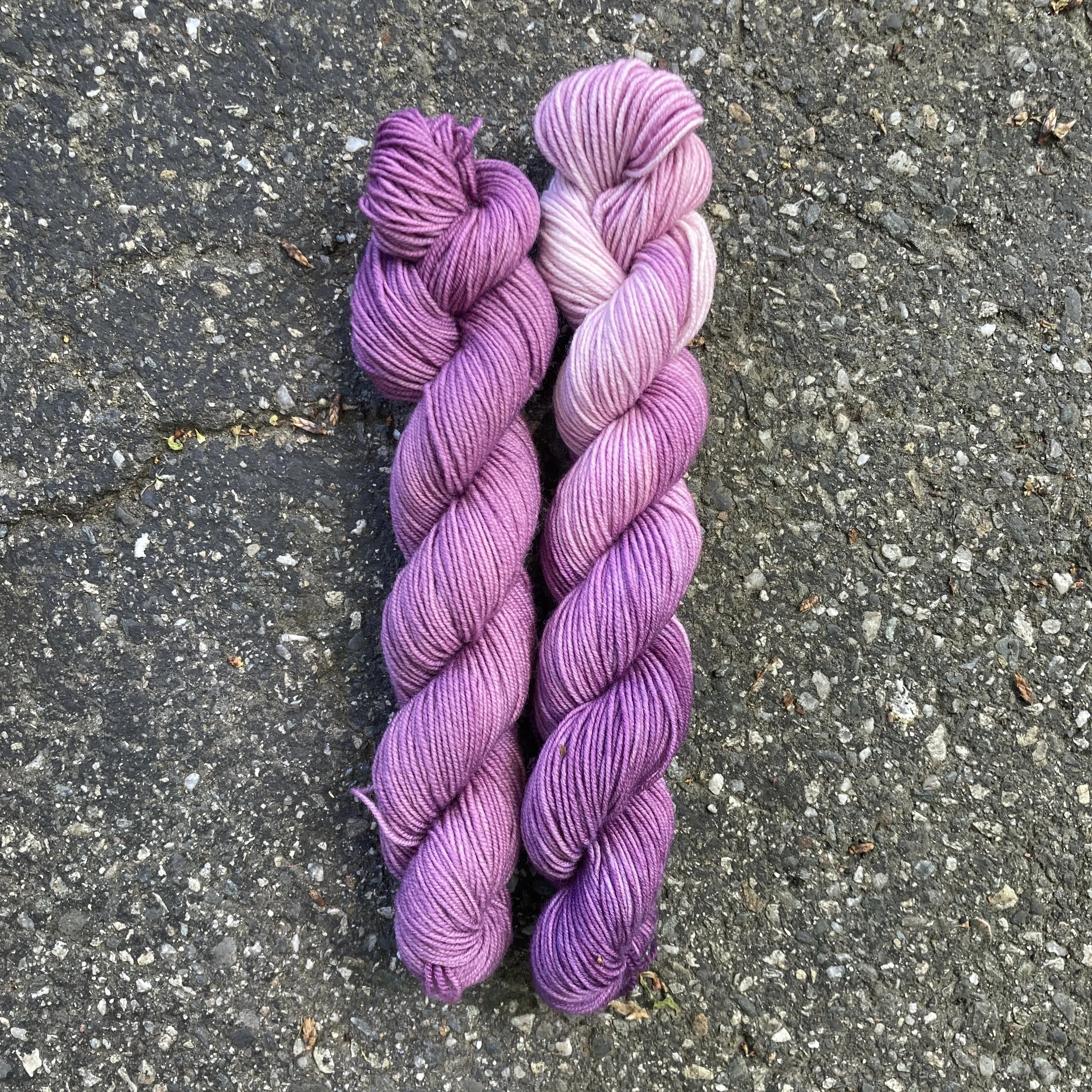Hubbard's Caterpillar and Caterpillar Purple