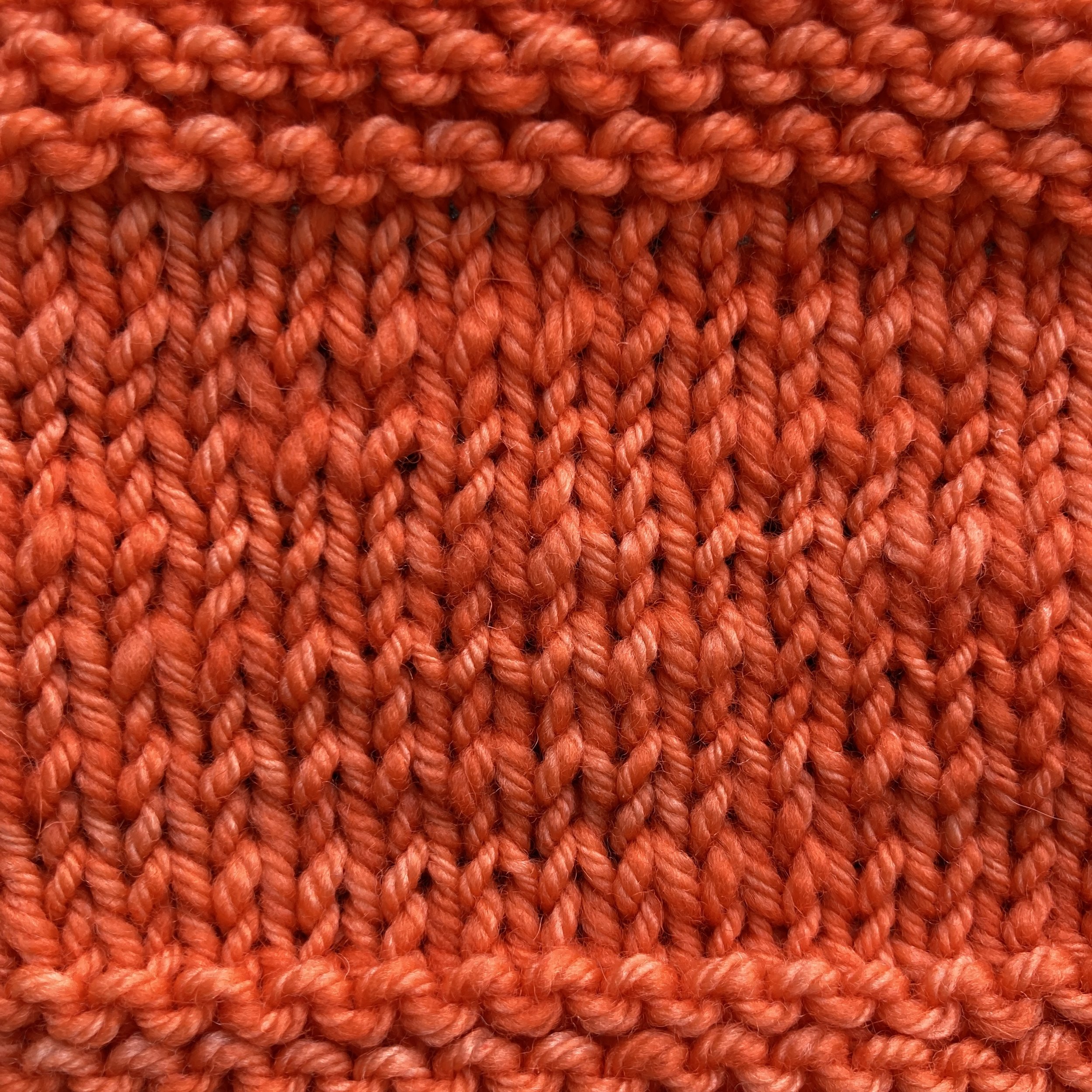 stink bug legs swatch.jpg