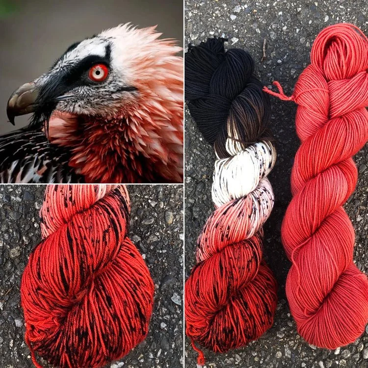 bearded vulture and vulture eye collage.jpg