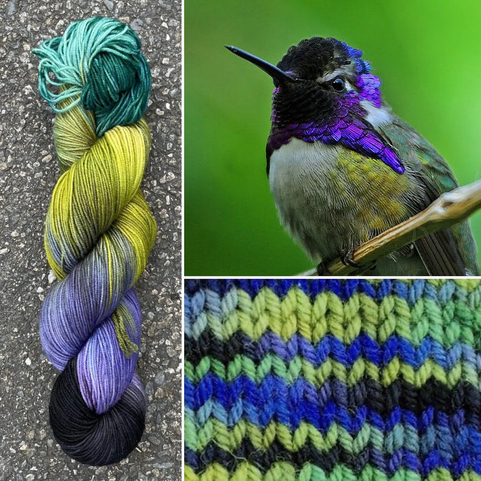 costa's hummingbird swatch collage.jpg