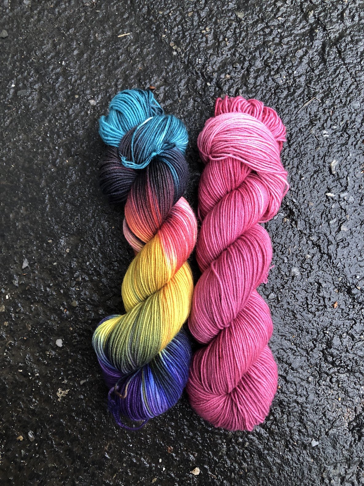 Himalayan Monal and Monal Purple.jpg