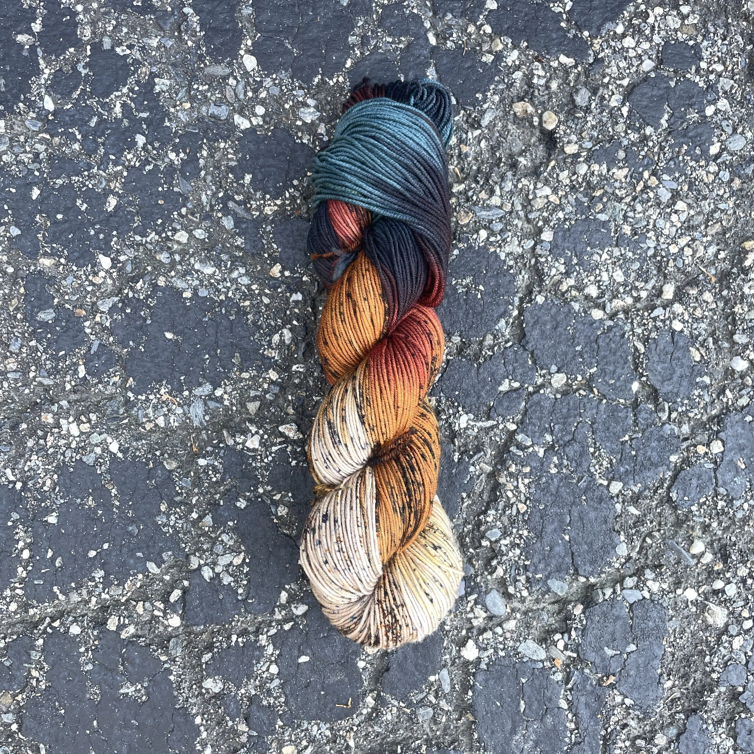 Ring Necked Pheasant.JPG