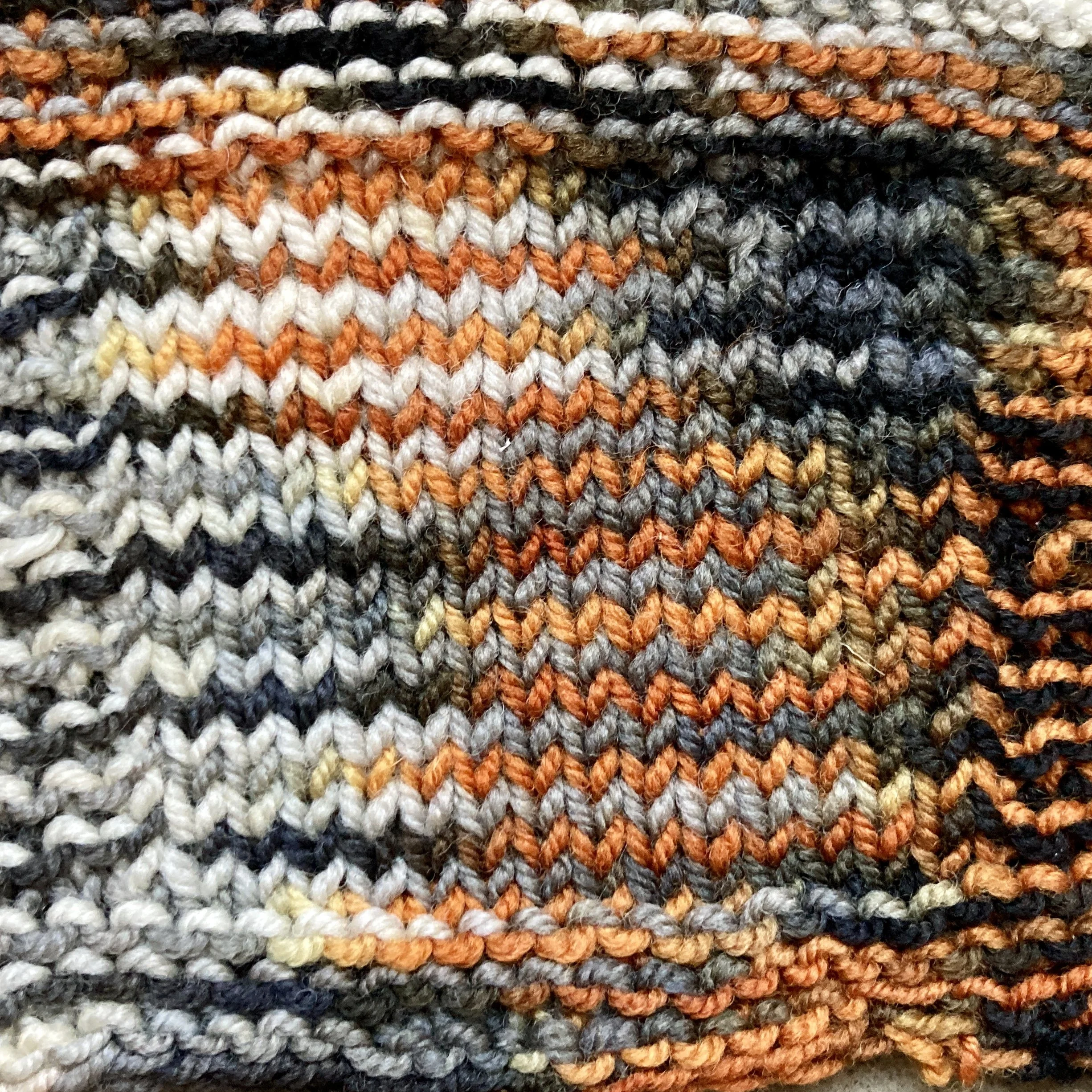 american robin swatch.jpeg