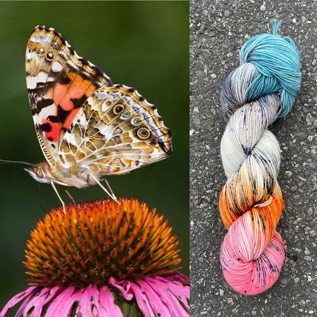 Painted Lady Butterfly