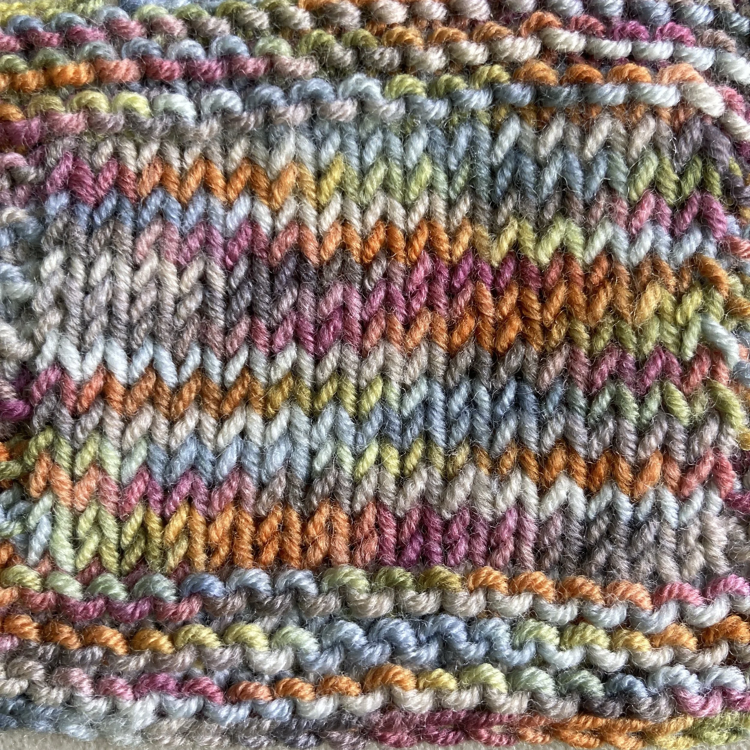 ash red homing pigeon swatch.jpg