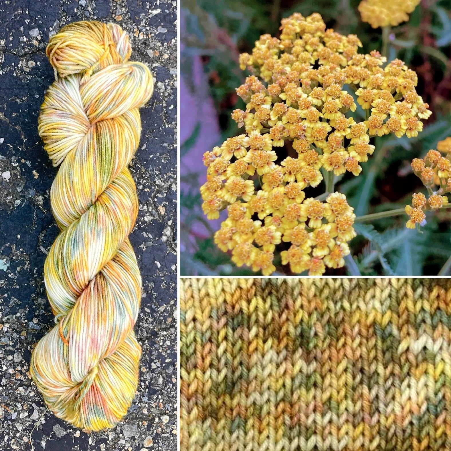 yarrow collage swatch.jpg