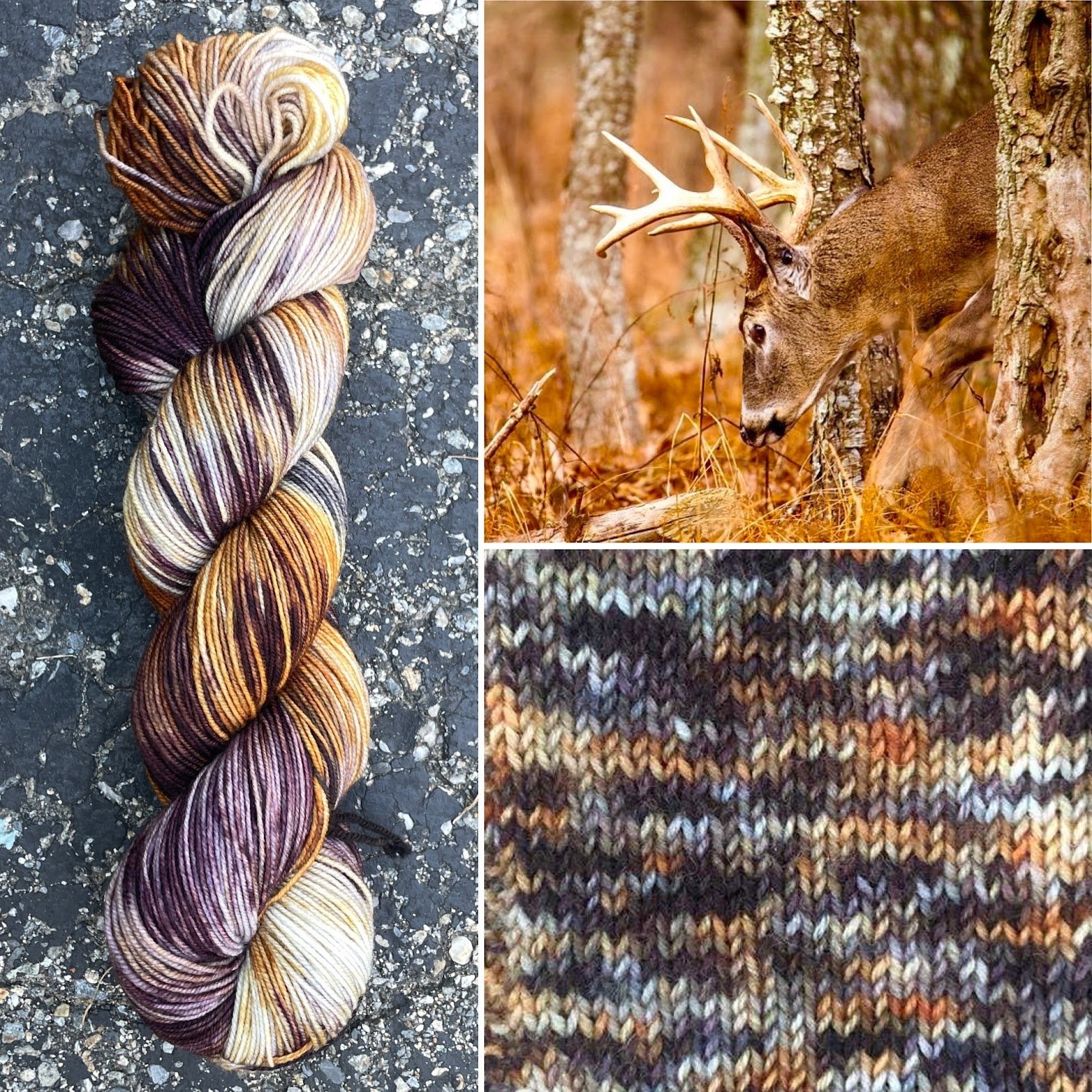 white-tailed deer collage swatch.jpg