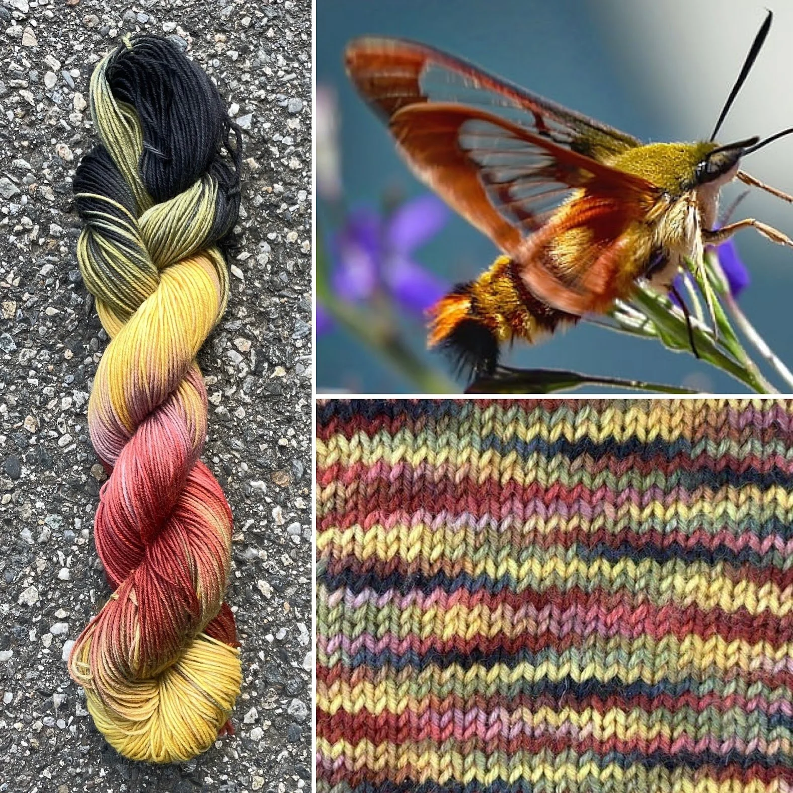 hummingbird hawkmoth collage swatch.jpg