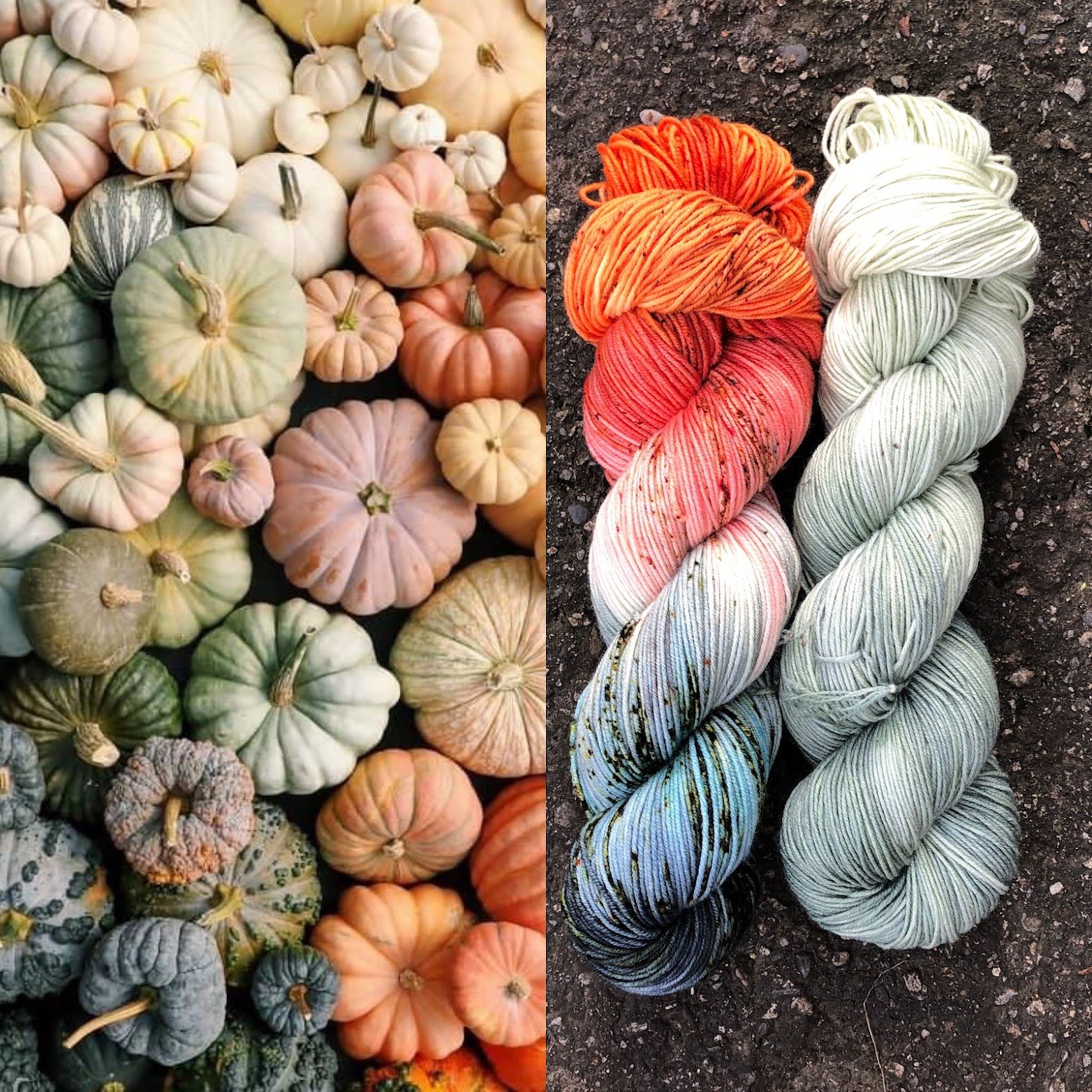 heirloom pumpkins : pumpkin blue collage.jpeg
