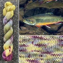 Brook Trout