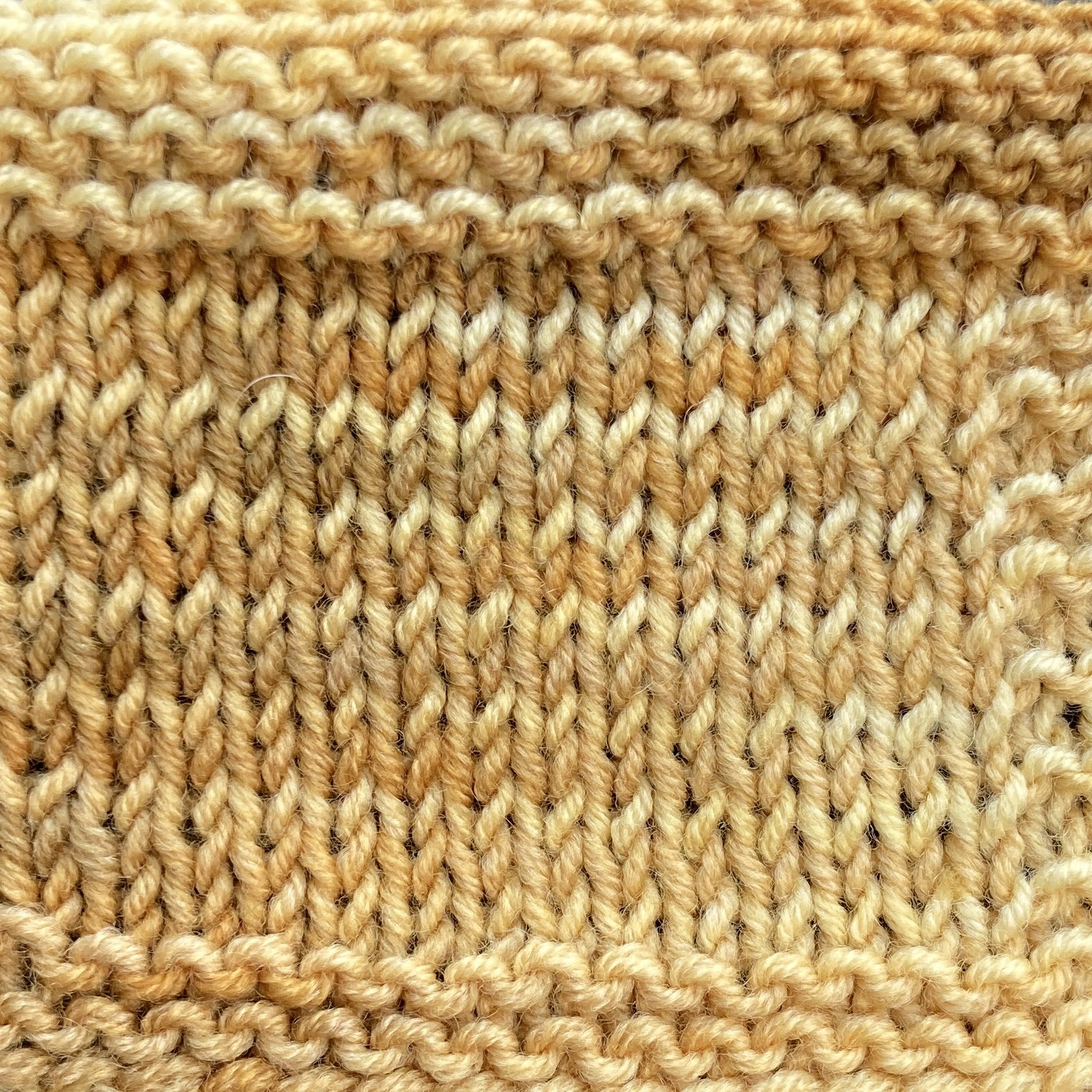 pickerel fins tonal swatch.jpg