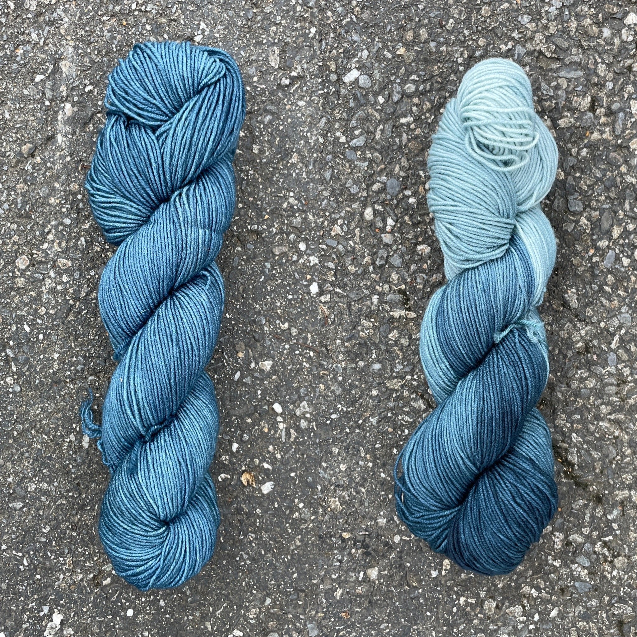 agama lizard blue collage.jpg