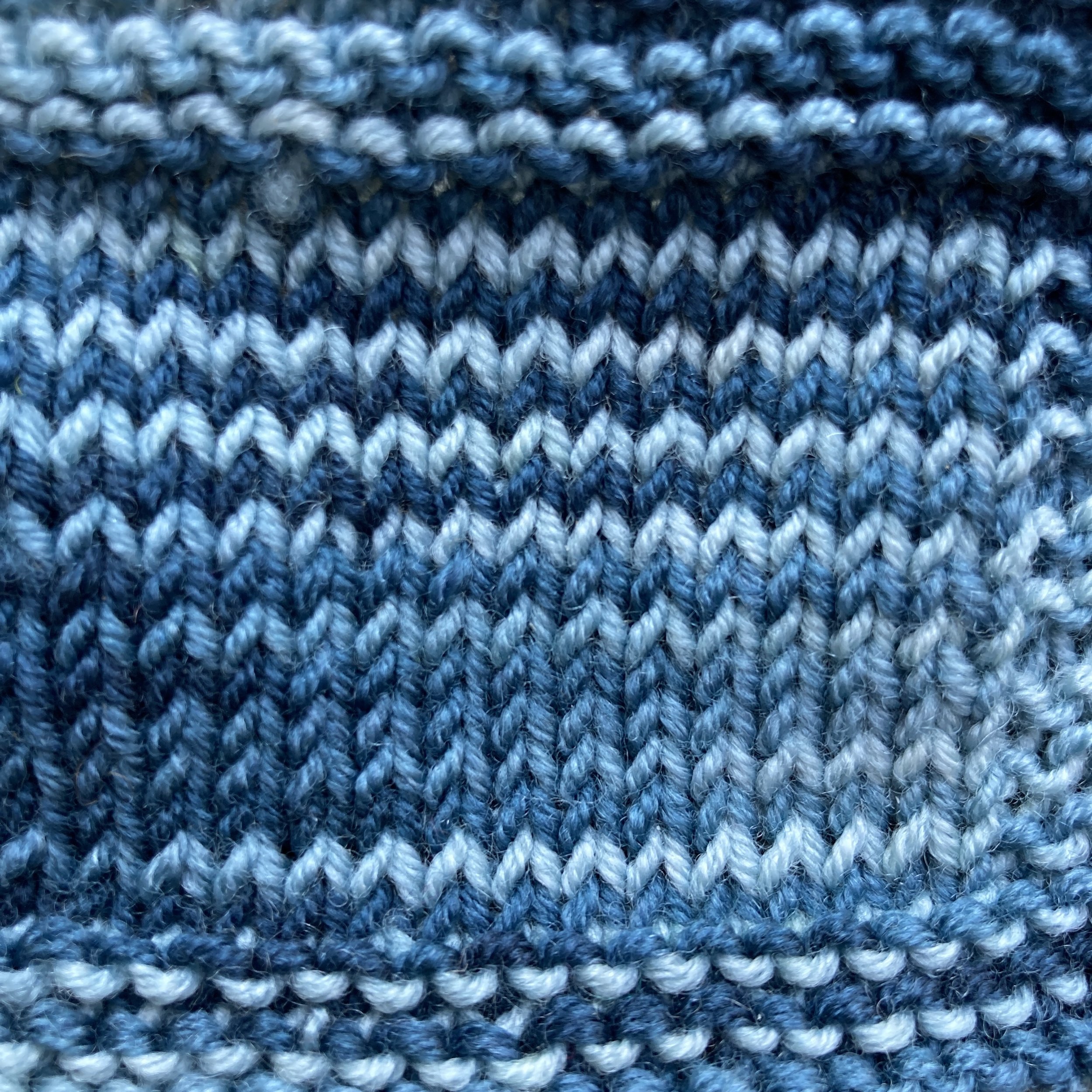 agama lizard blue tonal swatch.jpg