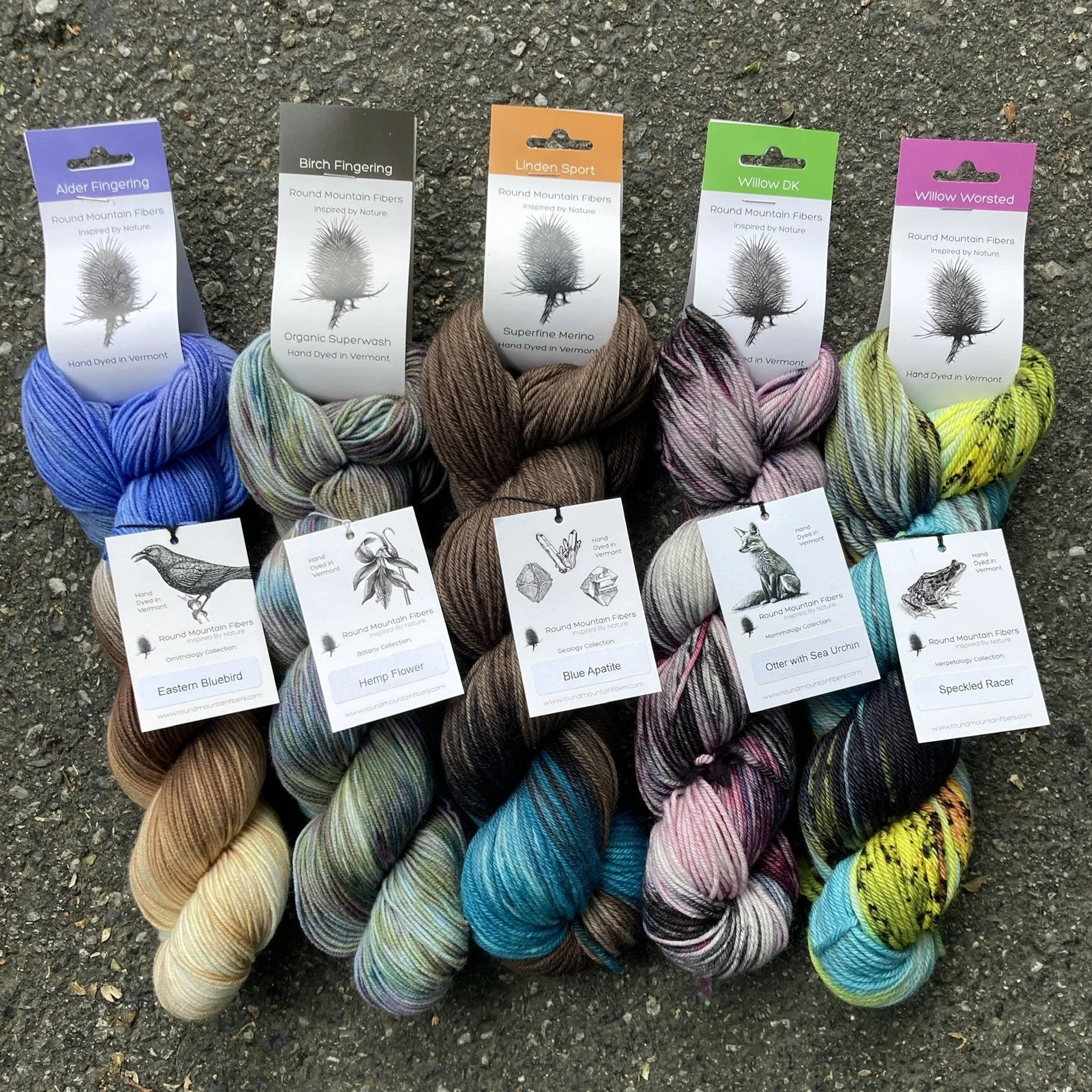 yarn tasting sampler.jpg