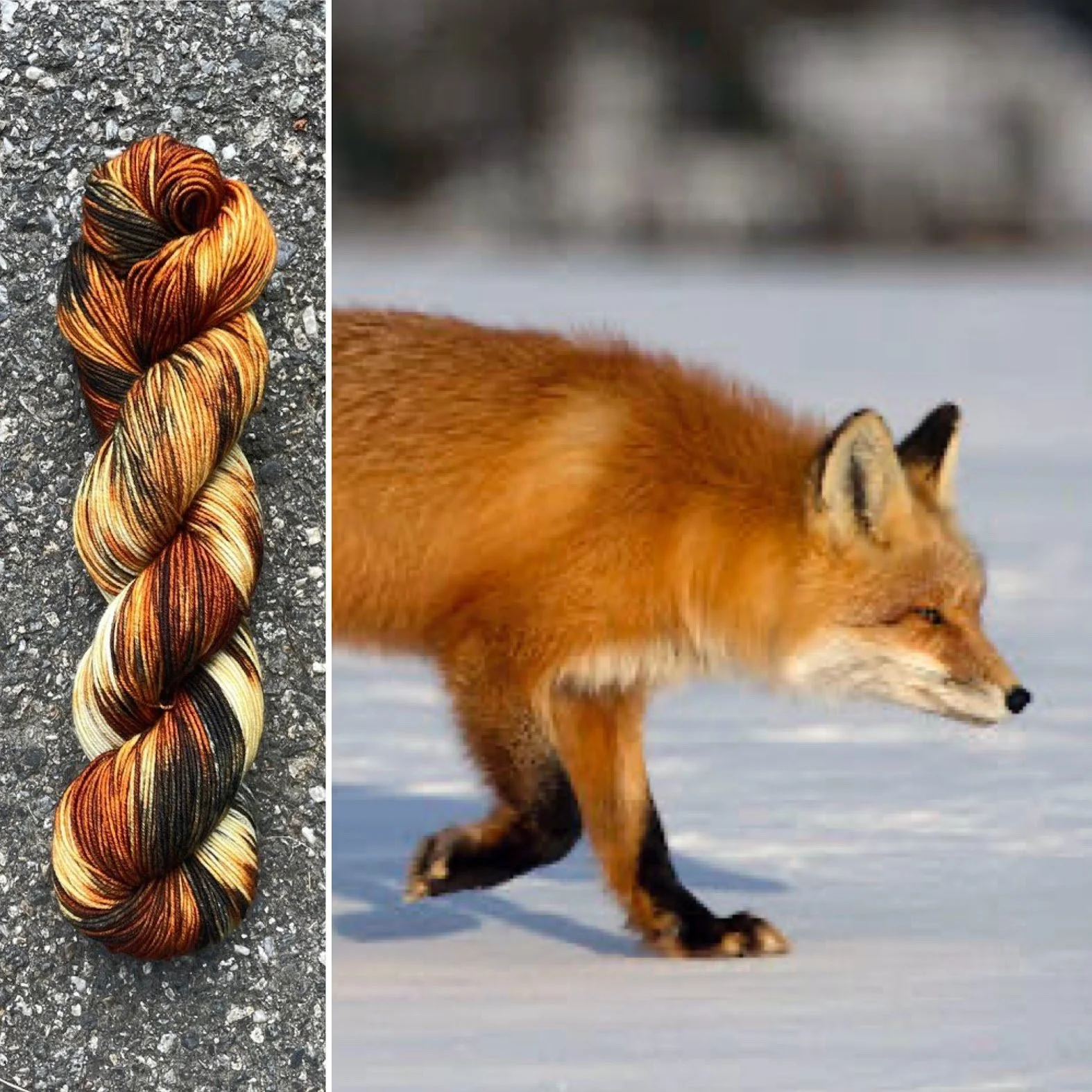 red fox collage.jpg
