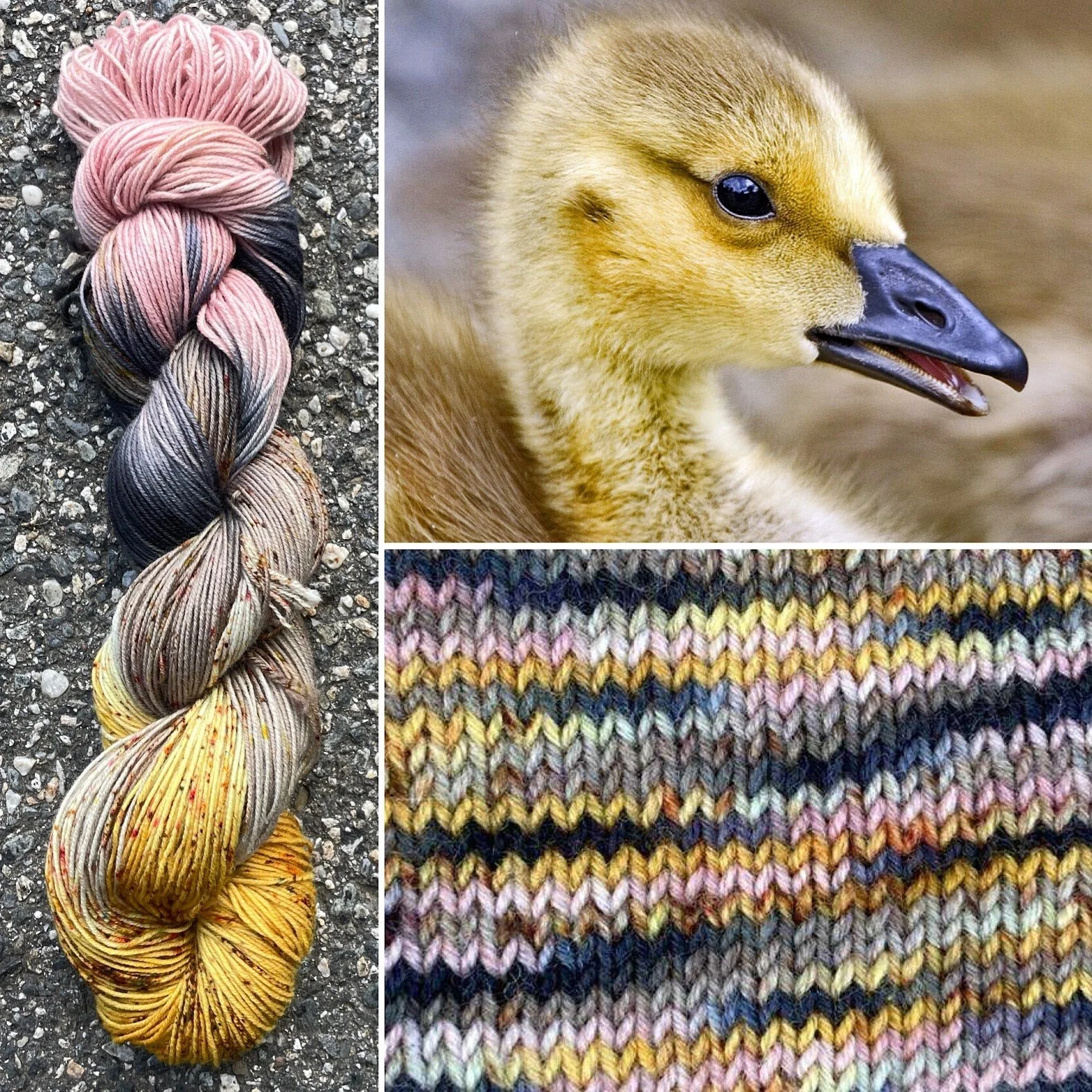 canada gosling collage swatch.jpg