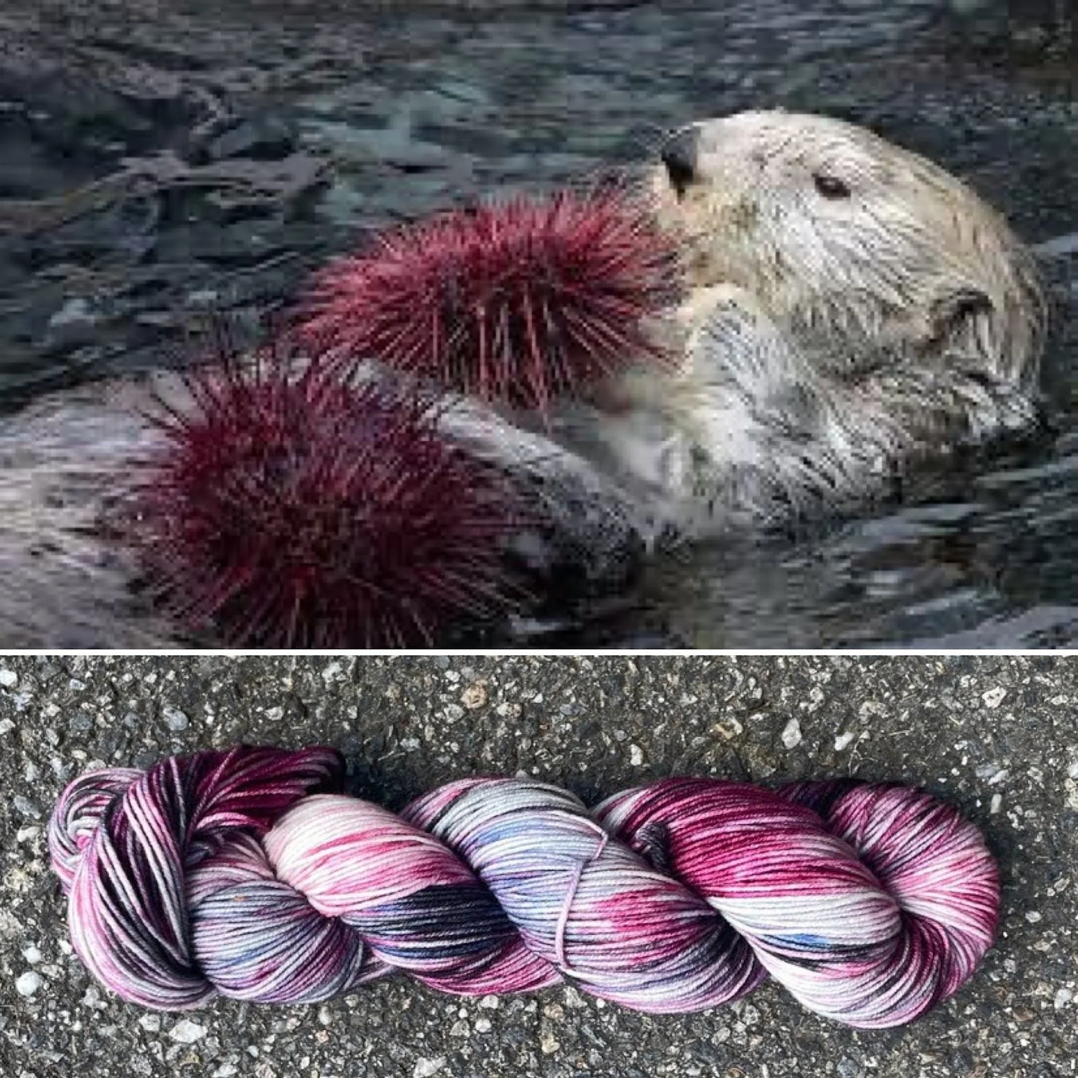 otter with sea urchin collage.jpg