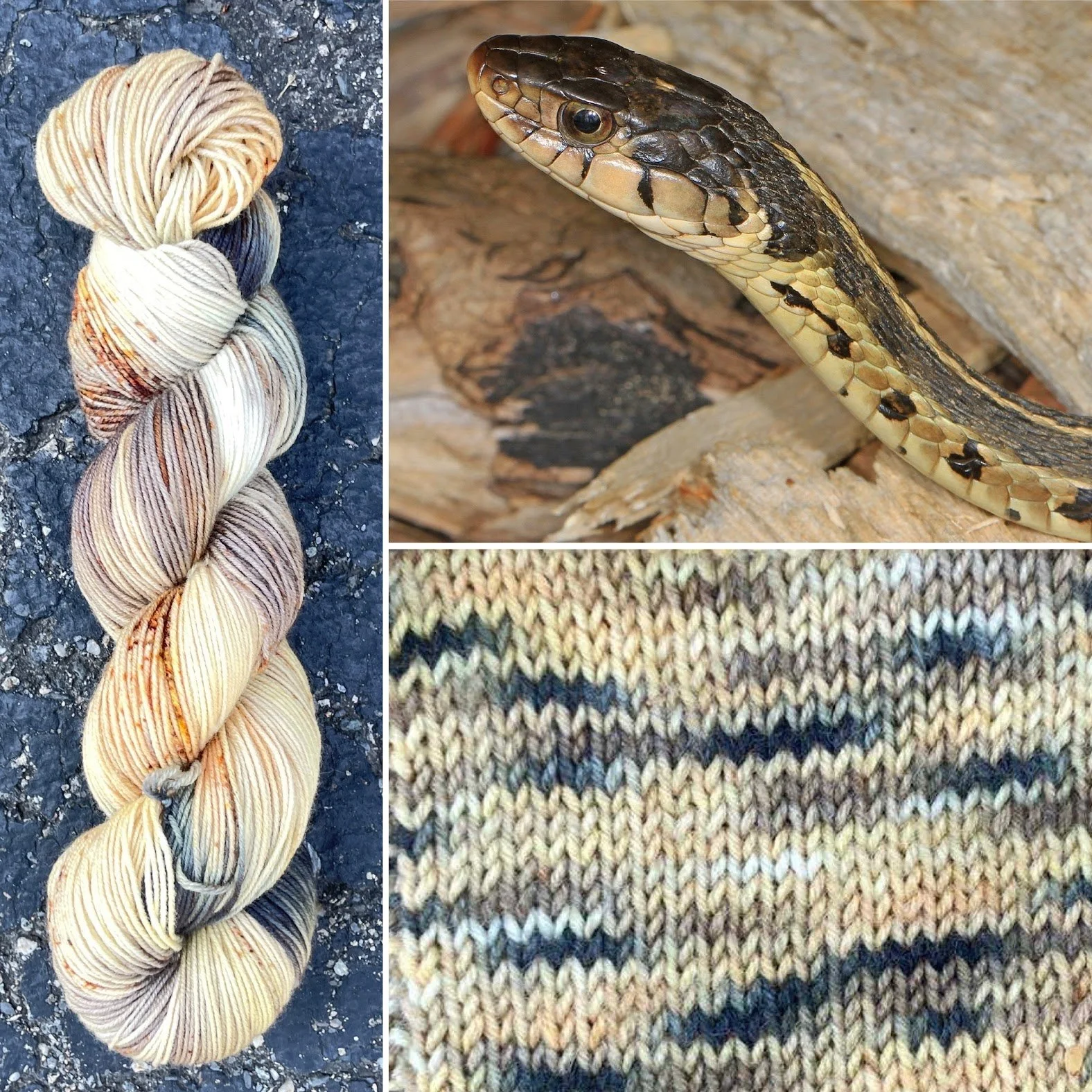 eastern garter snake collage swatch.jpg