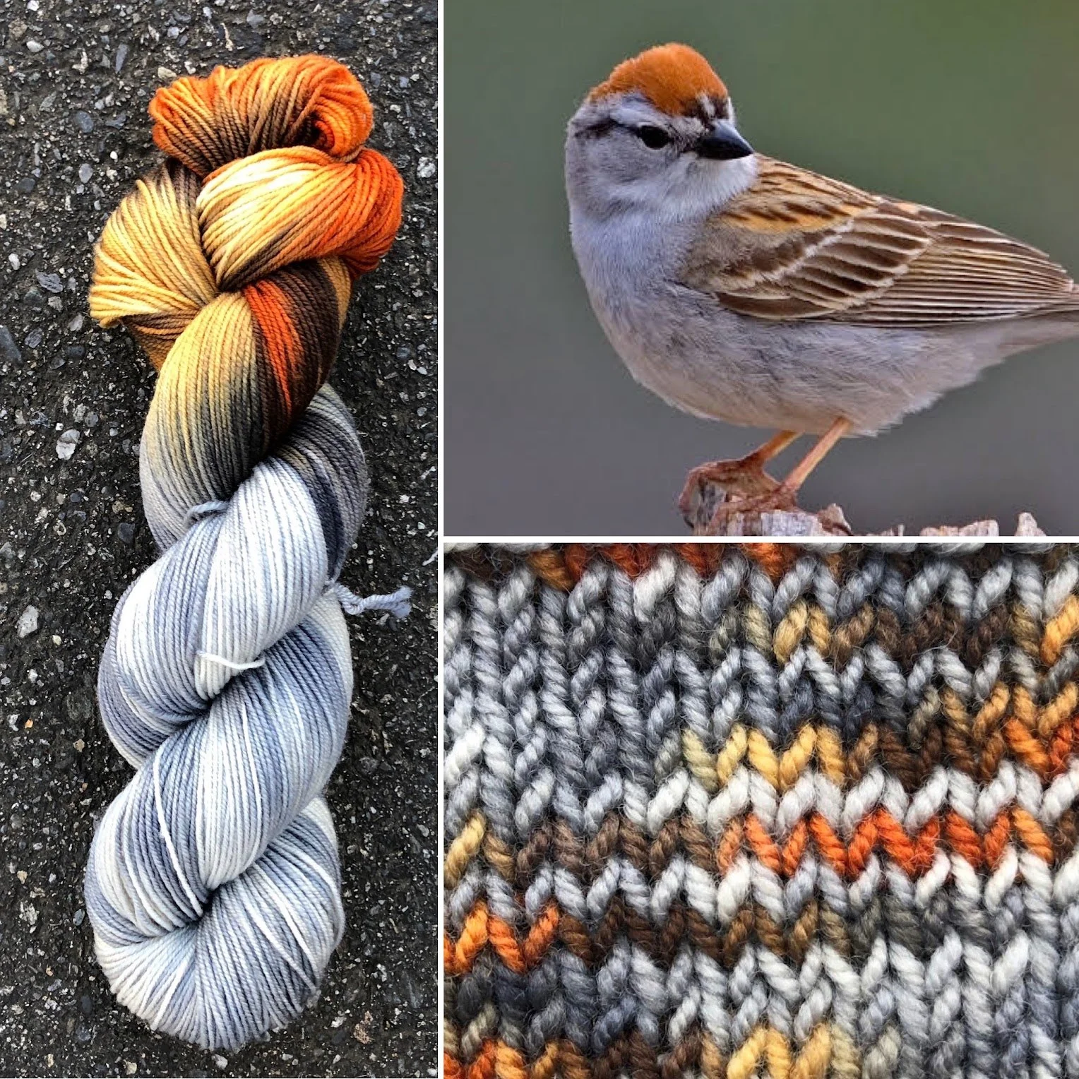 Chipping Sparrow