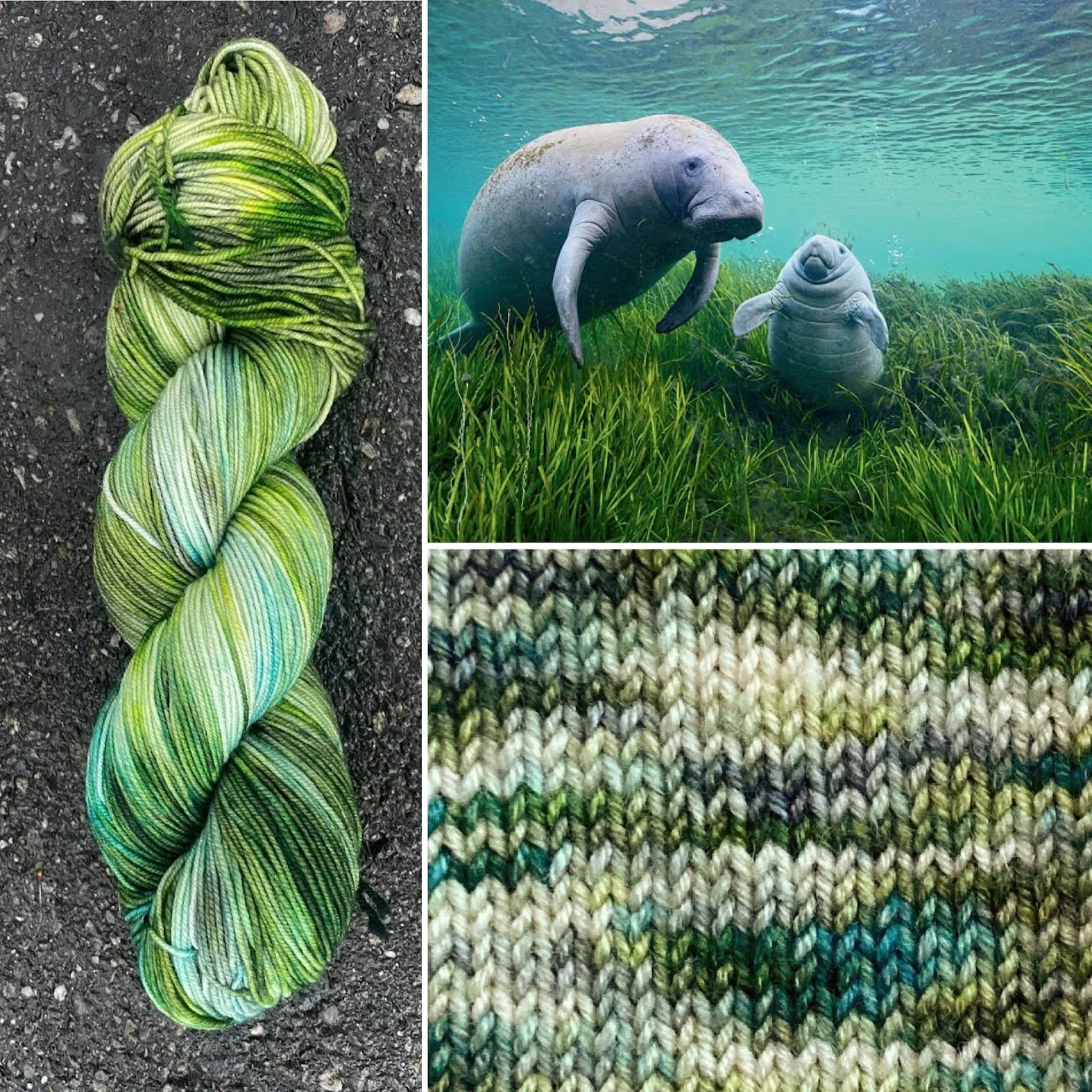 manatees swatch collage.jpg