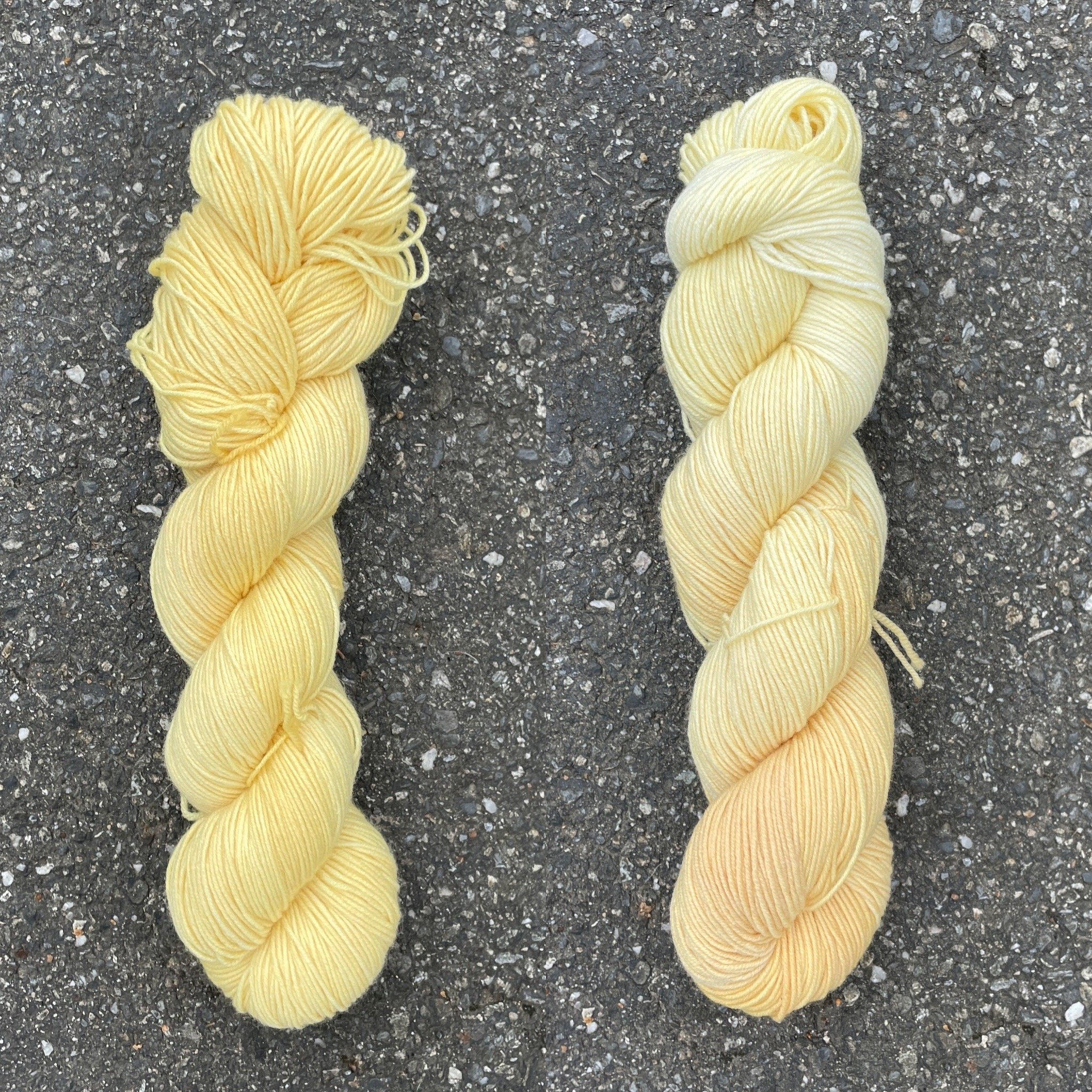 mushroom stem collage.jpg