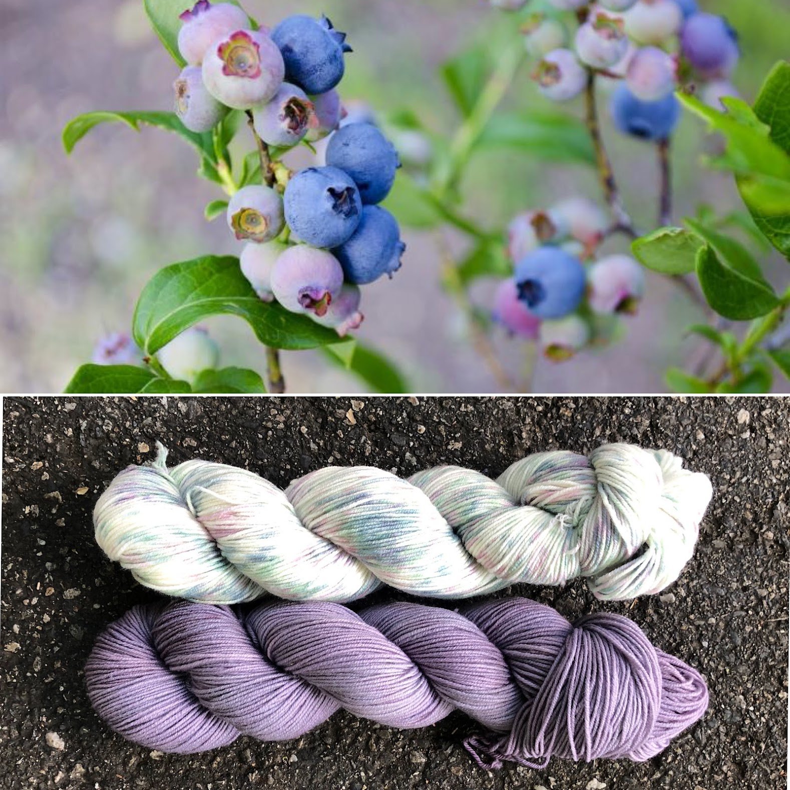 Blueberries in June : Blueberry Blush collage.jpg
