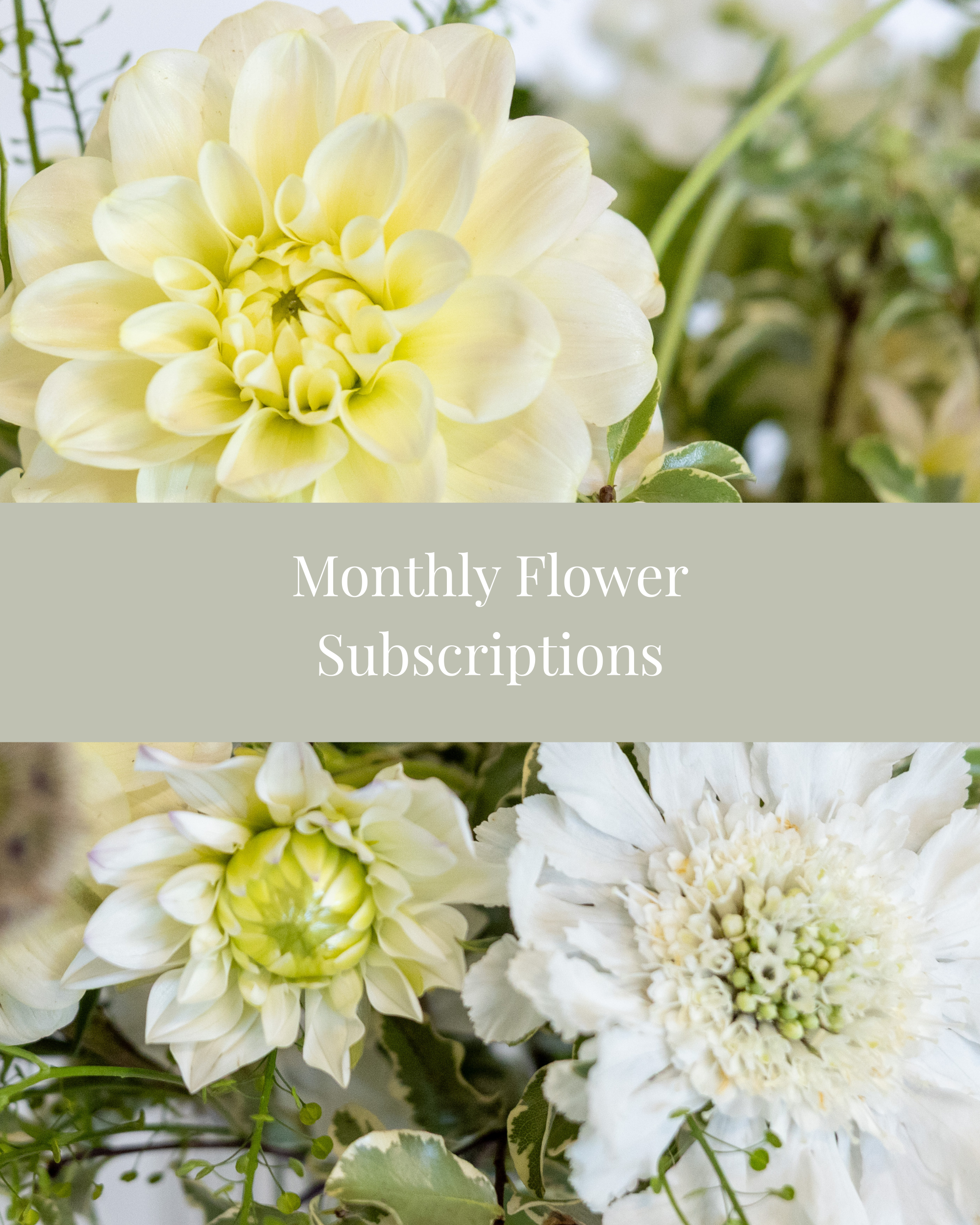monthly-flower-subscription-calgary.png