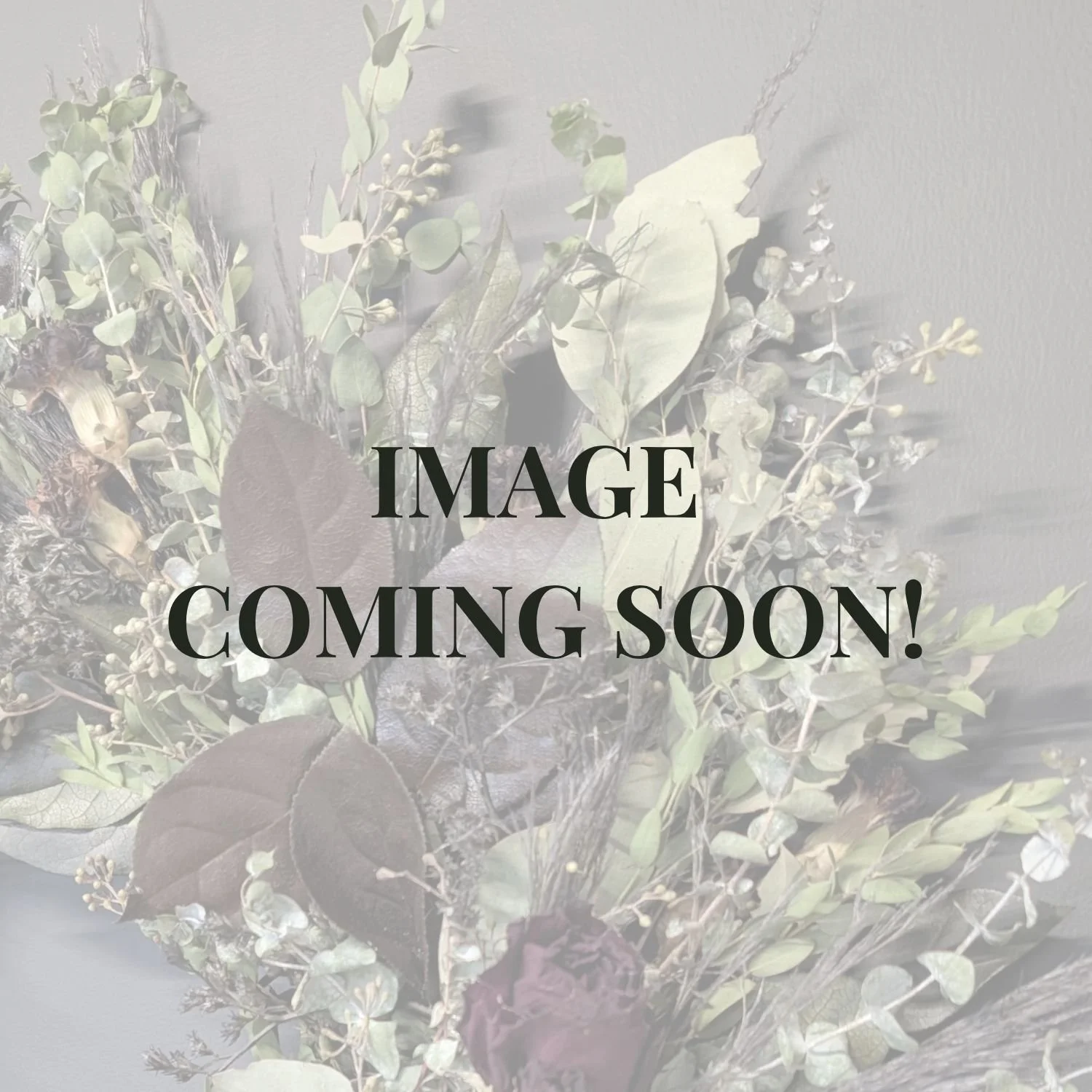 image coming soon.jpg