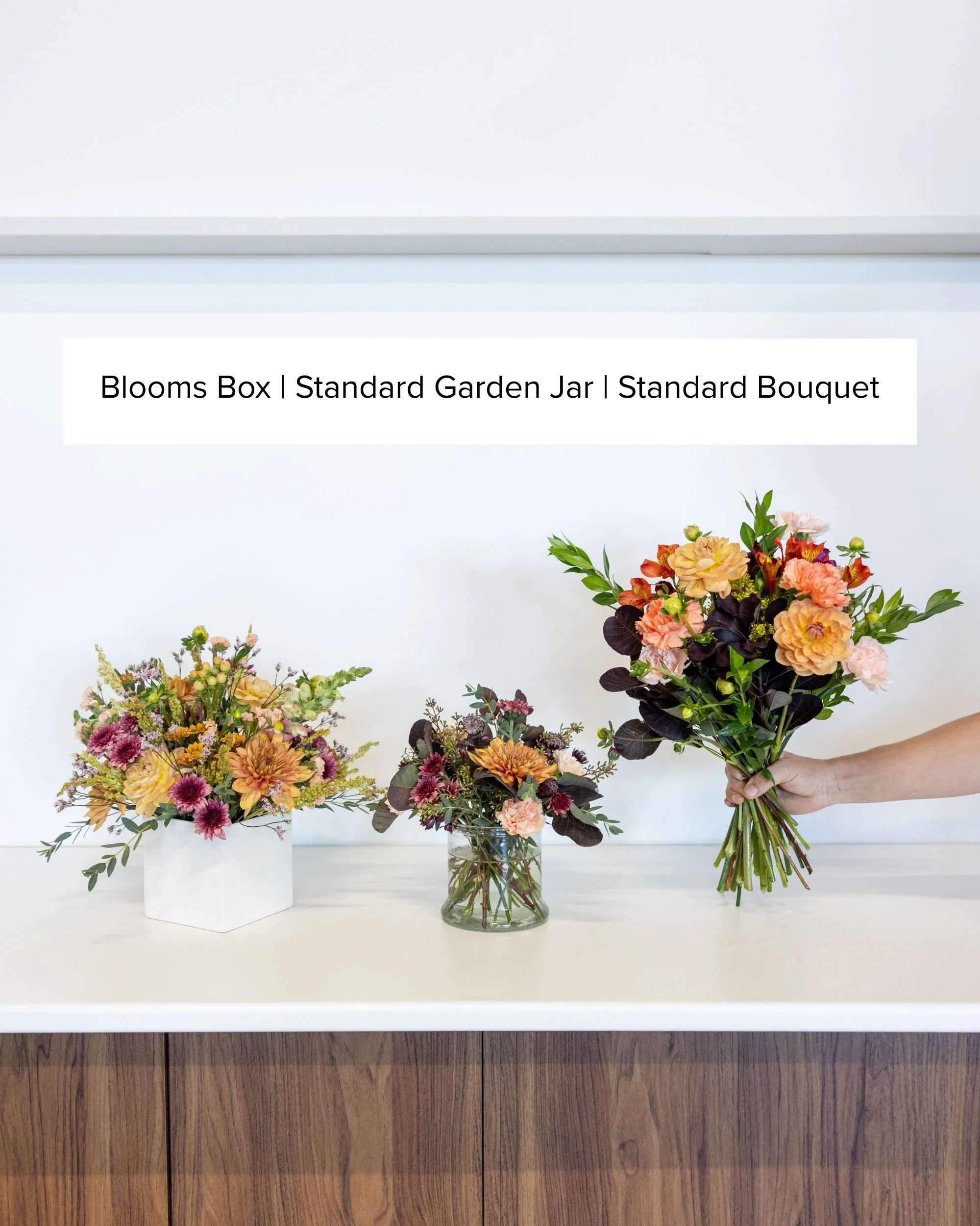 Garden Jars.jpg