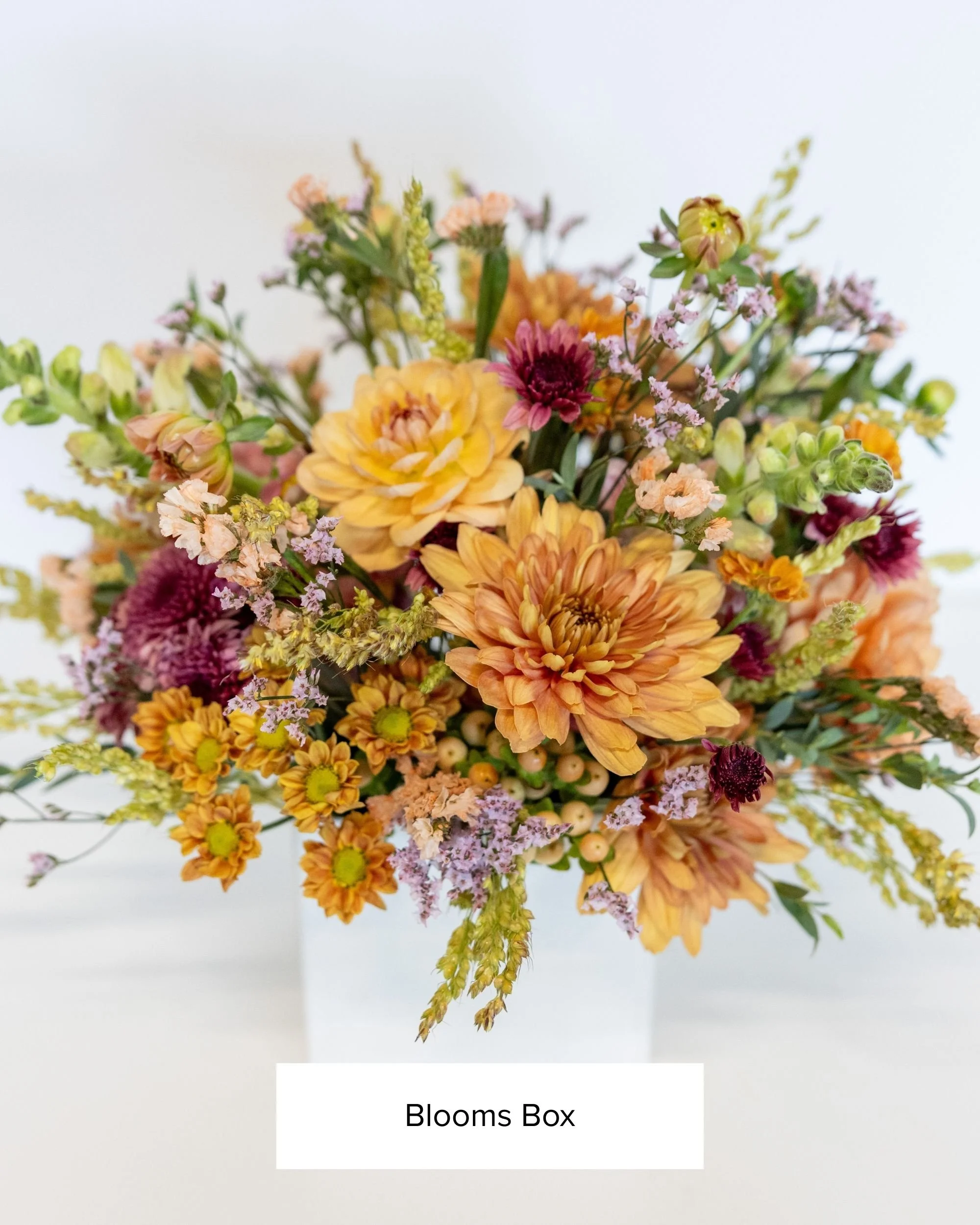 blooms-box-0922.jpg