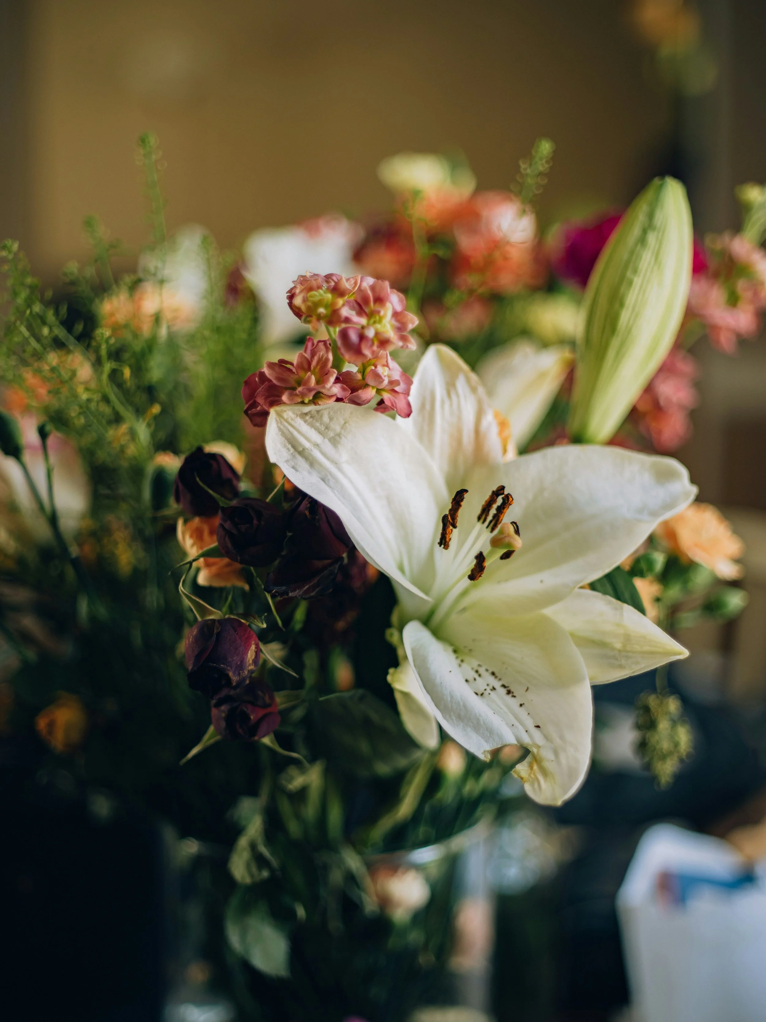 Why Winter Florals Behave Differently