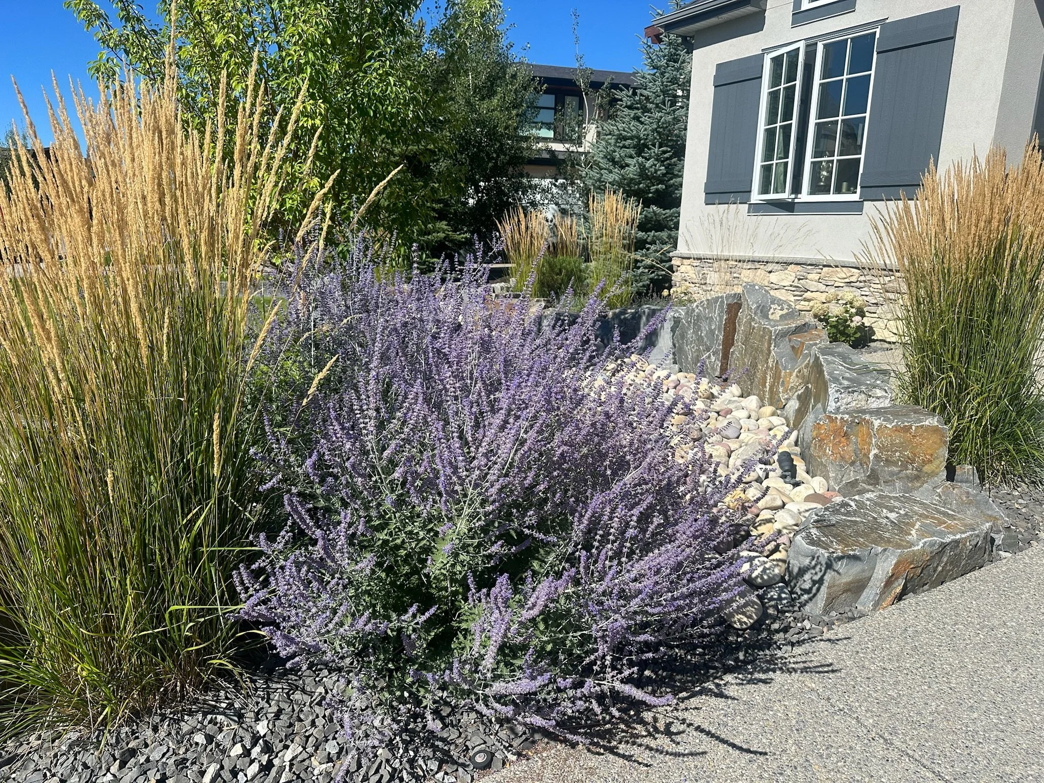 hardy-garden-bed-calgary.JPG