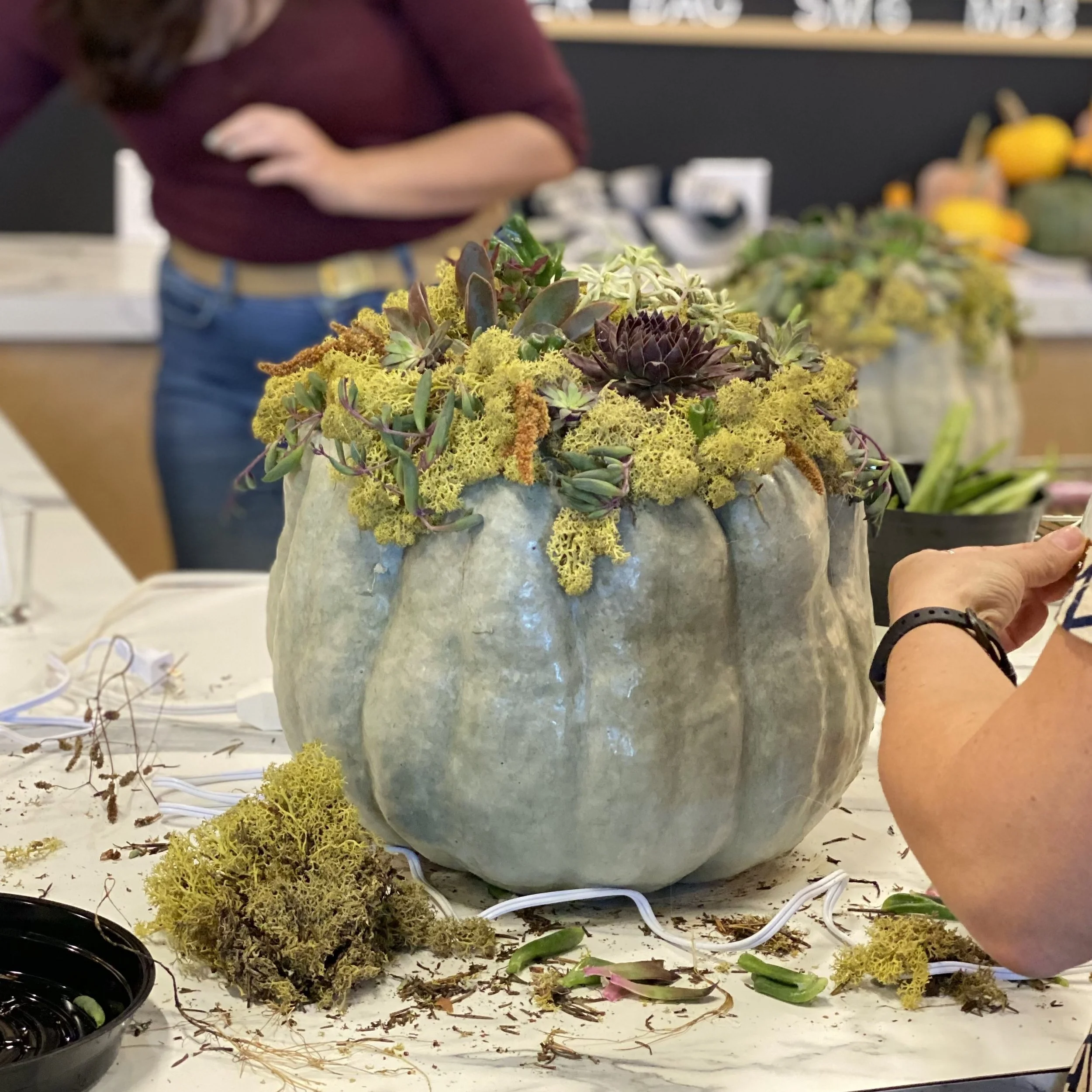 Pumpkin Workshop1.jpg