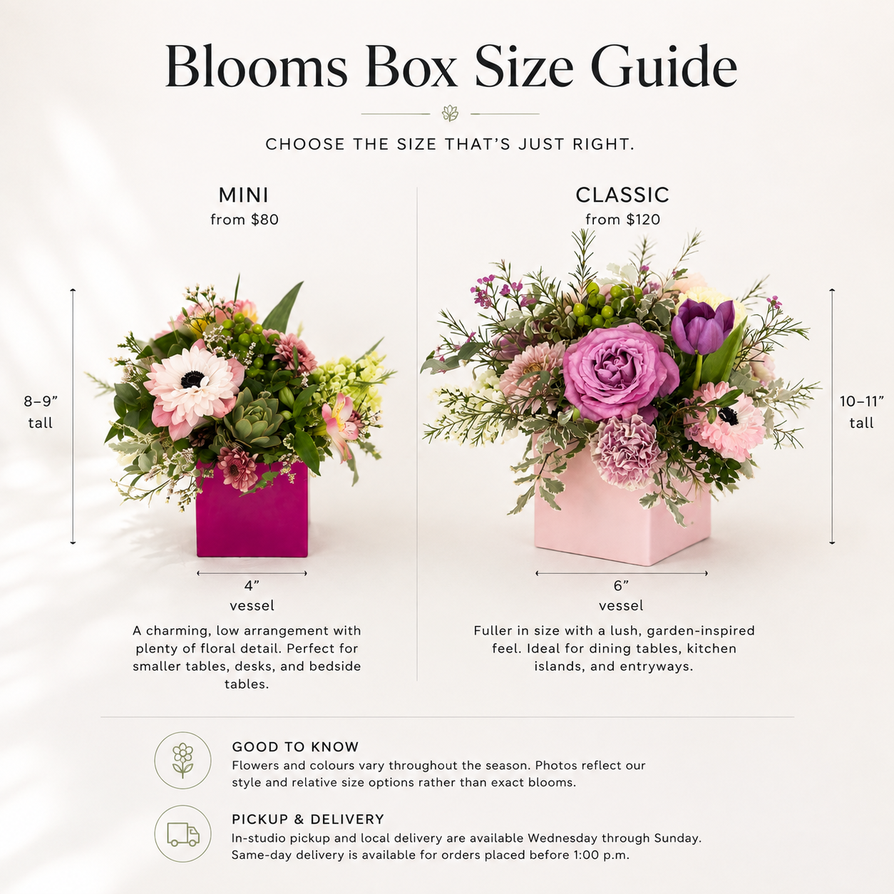 blooms-box-size-reference-bloom-culture.png